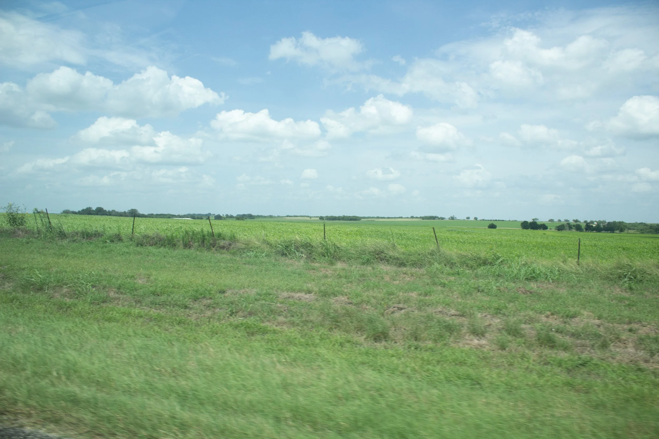 Open farmland under a partly cloudy sky with green fields and scattered trees on the horizon.