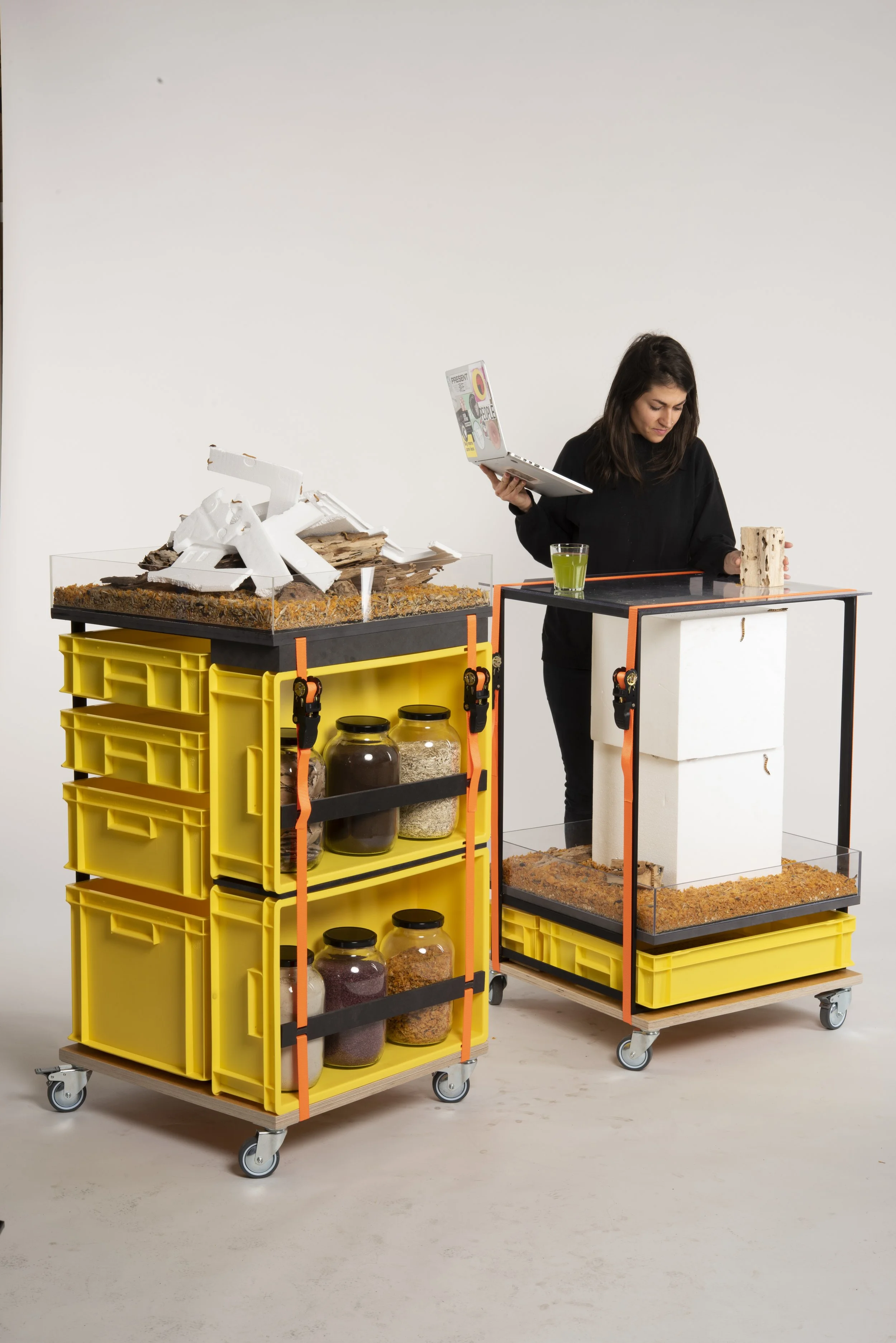 Interspecies Design Studio_Mealworms_Working_2.jpg