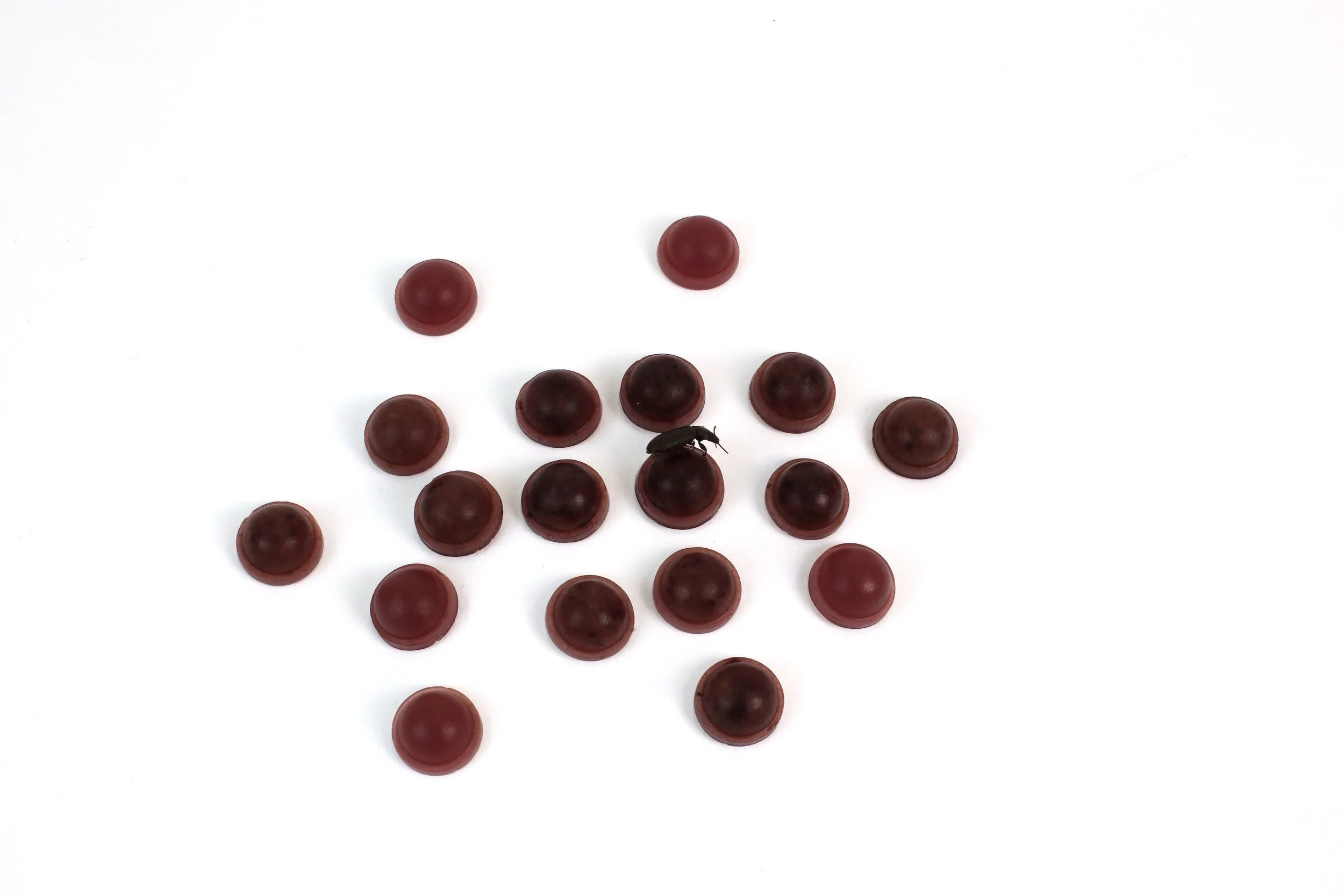0P6A3622_ret.jpg