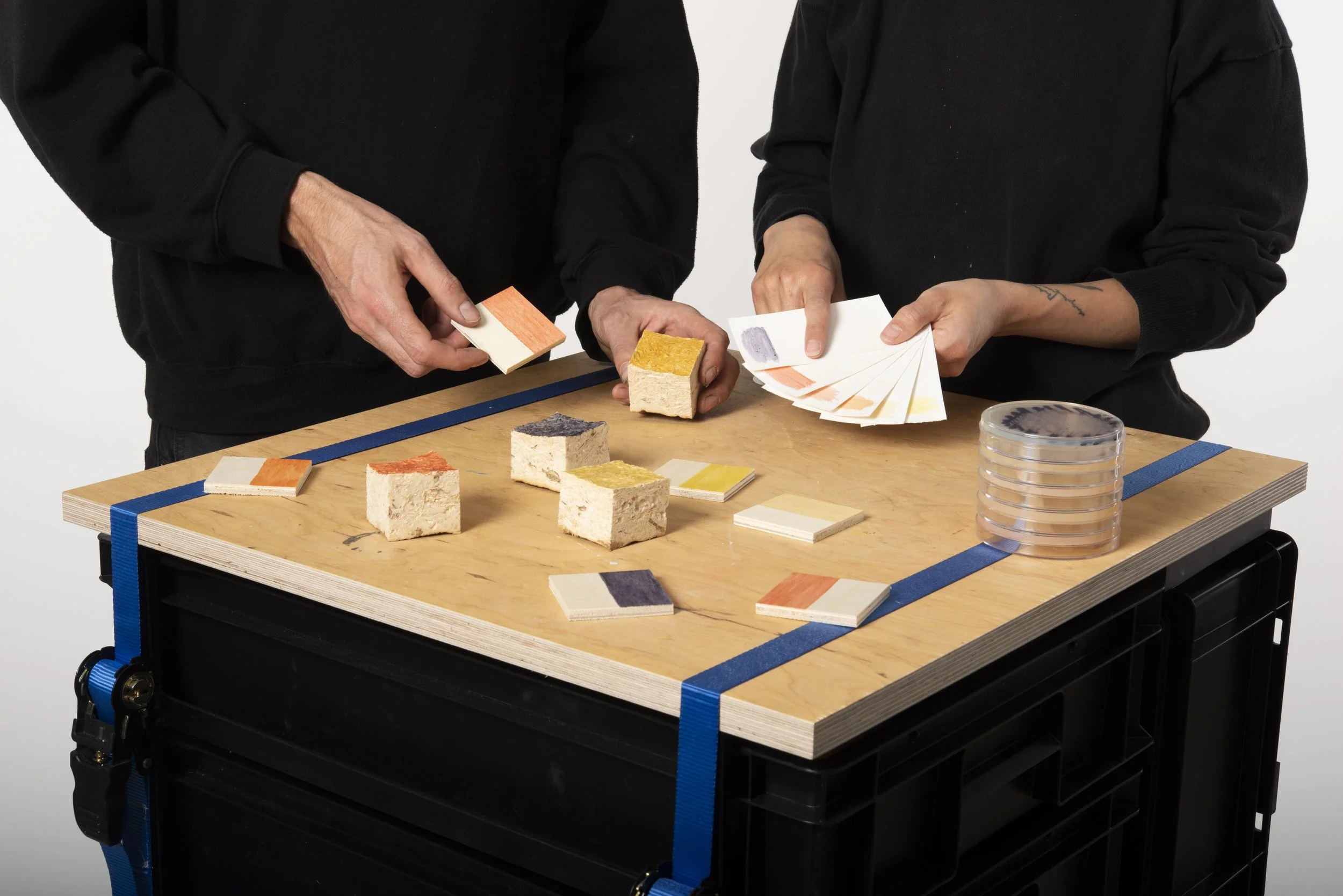 Interspecies Design Studio_Materials_Combination.jpg