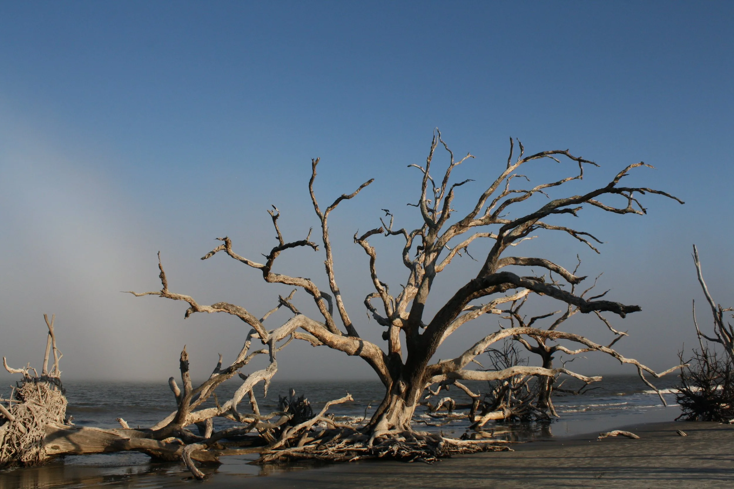 Jekyll Island, GA, 2025.