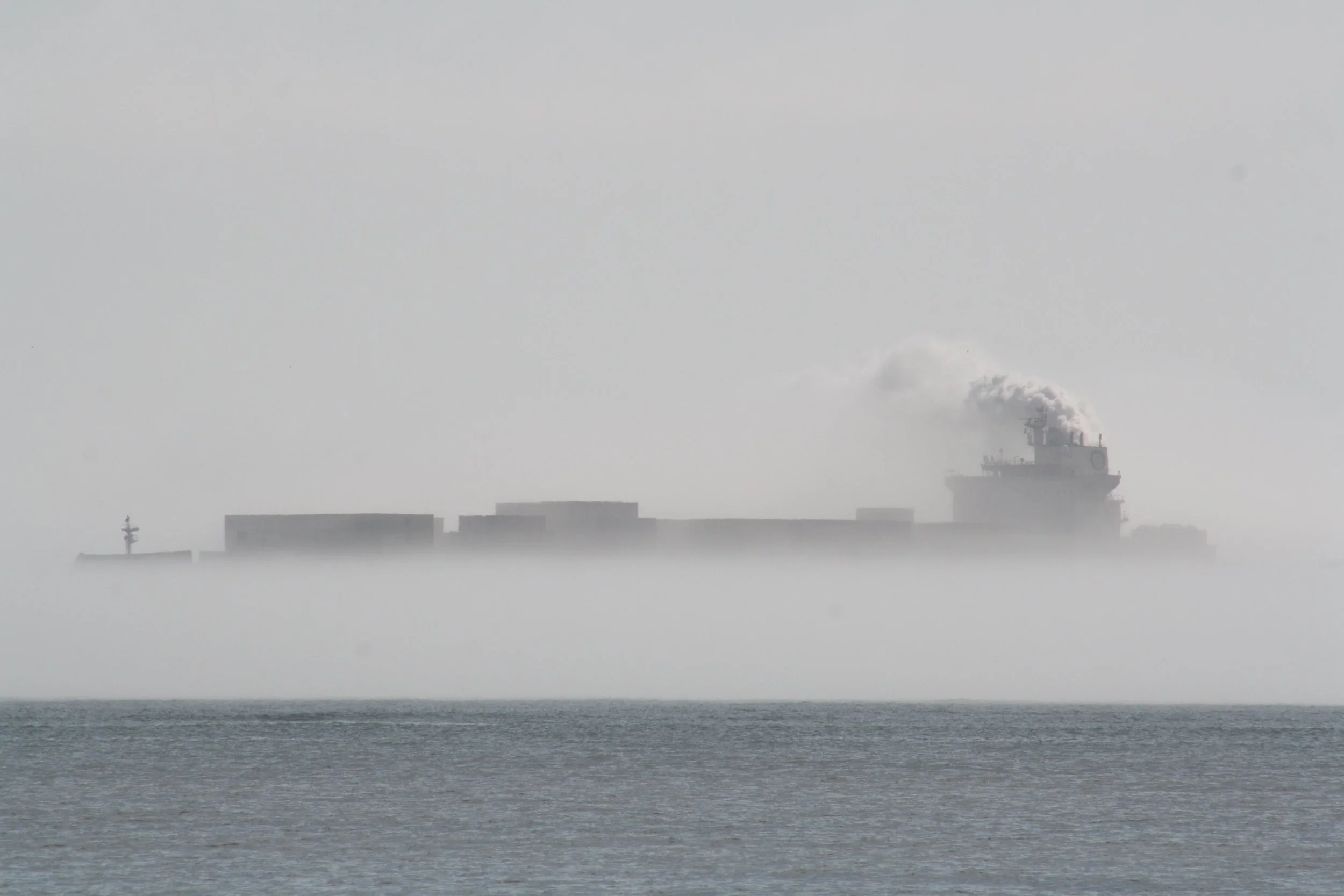 Tybee Island, GA, 2026.