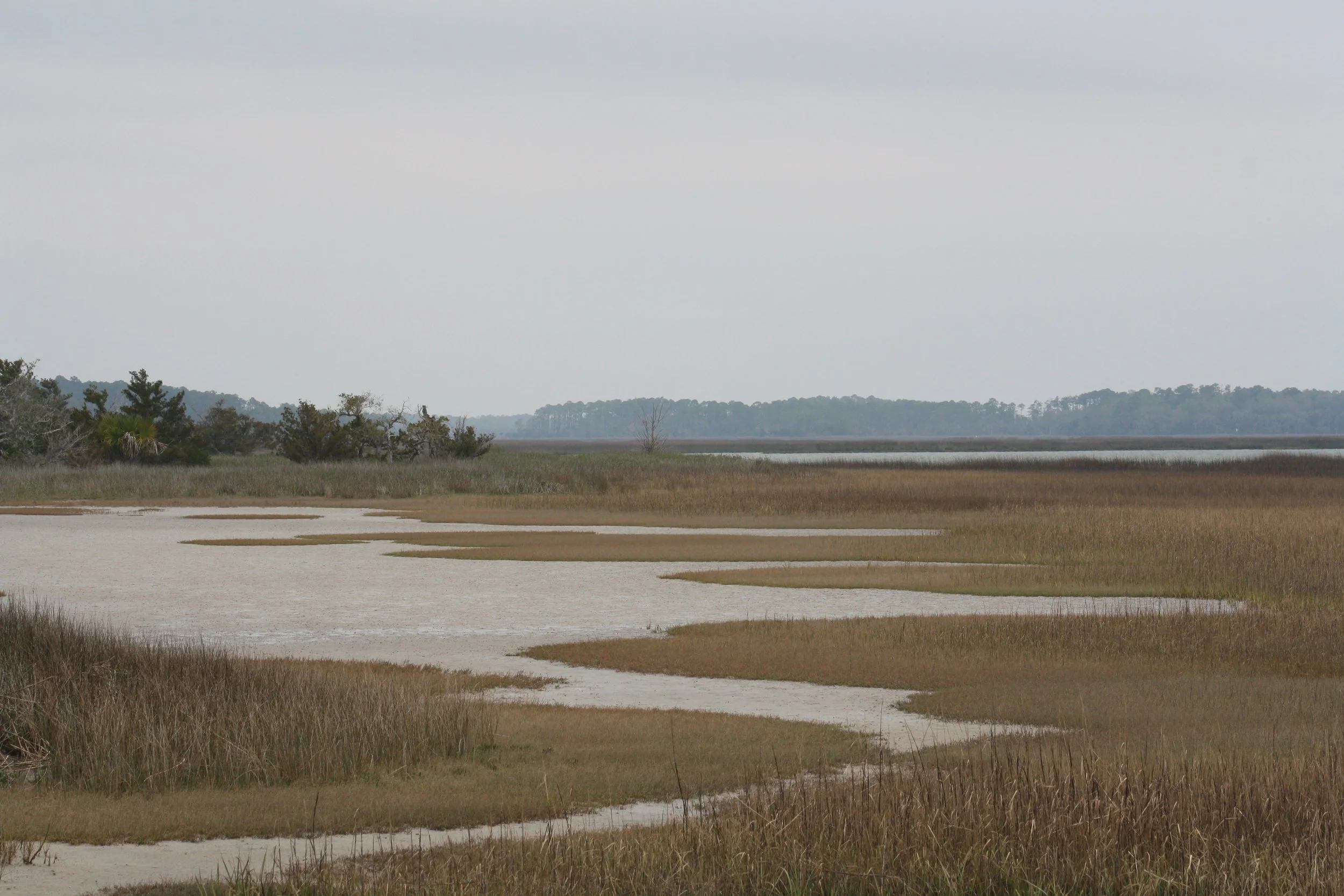 Hilton Head Island, SC, 2026.