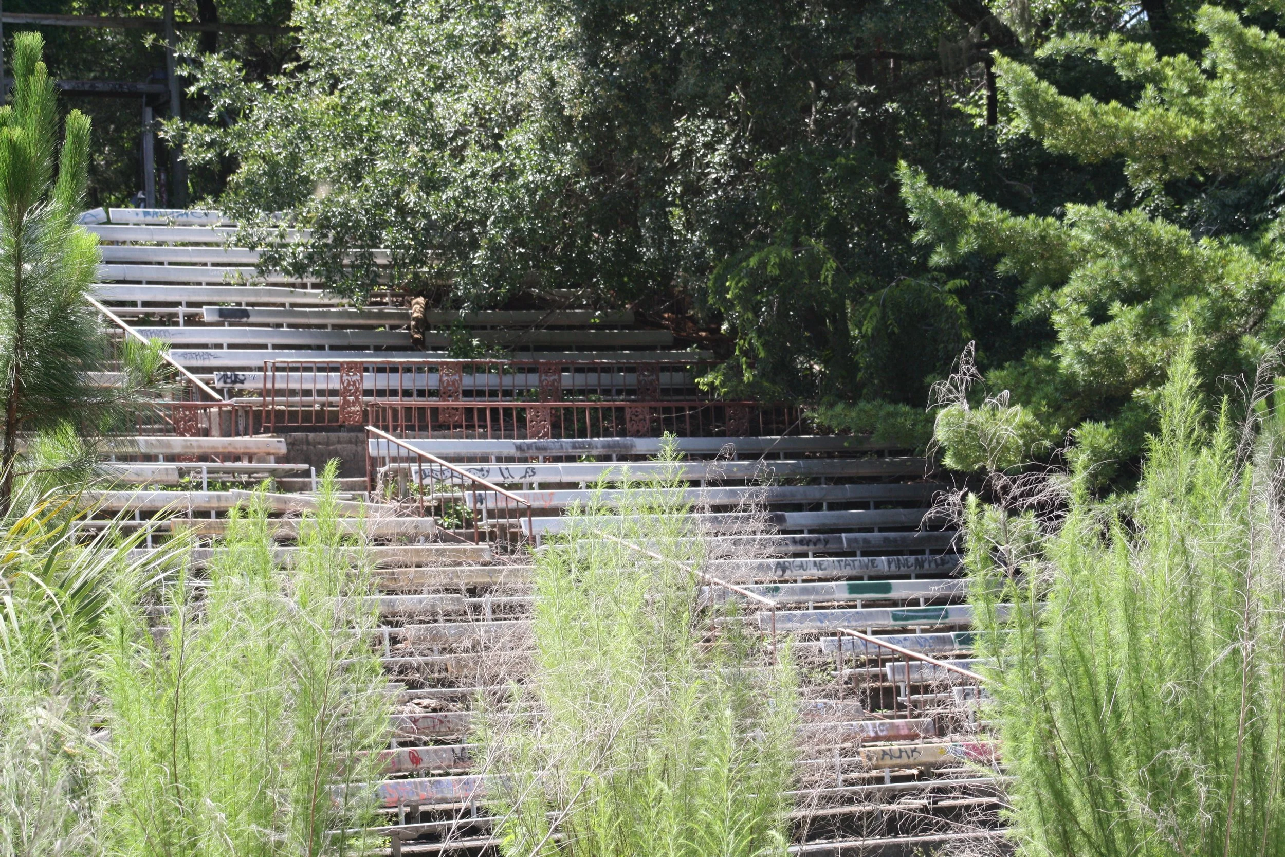 Jekyll Island, GA, 2025.