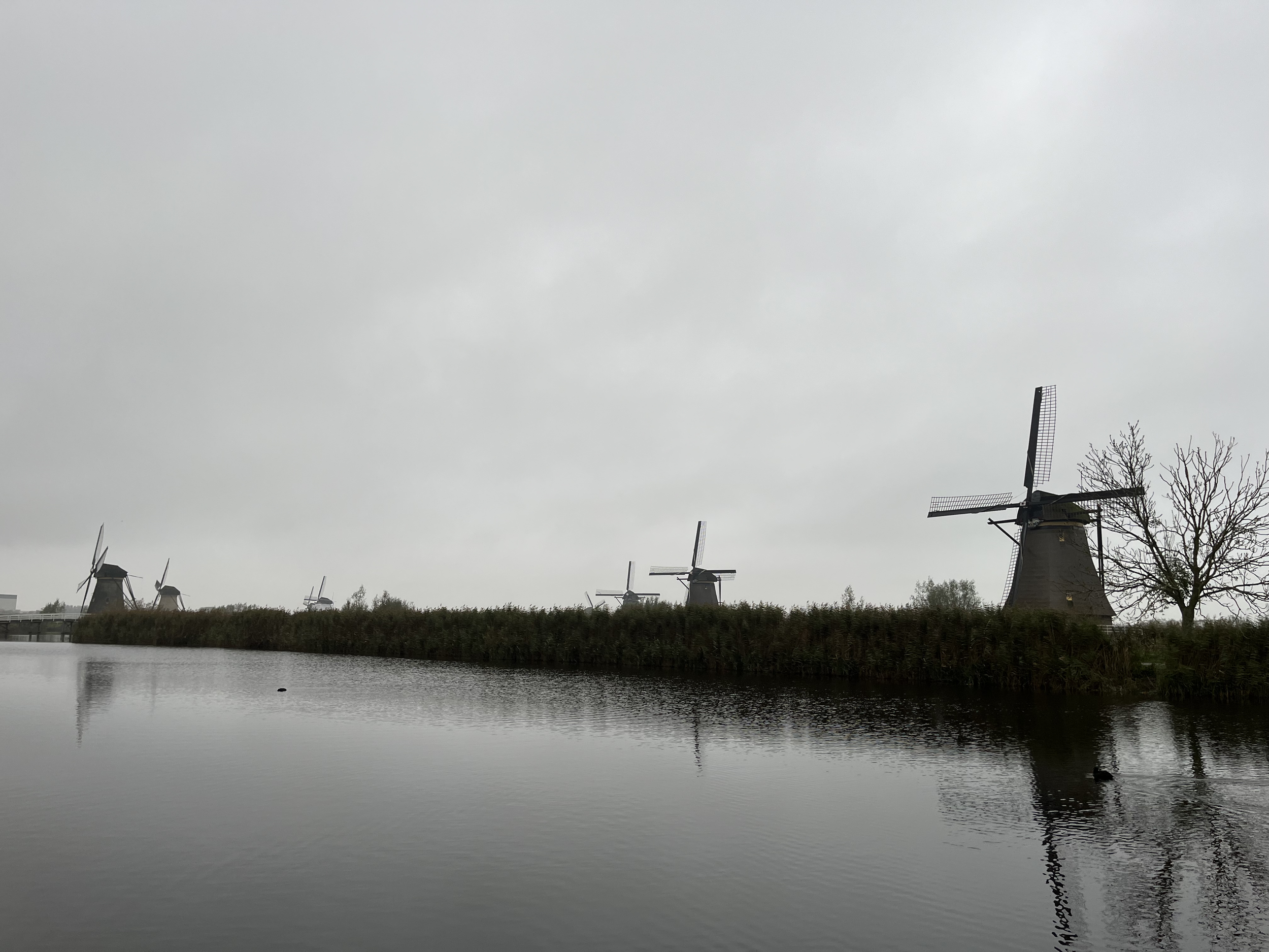 Kinderdijk, NL, 2024.