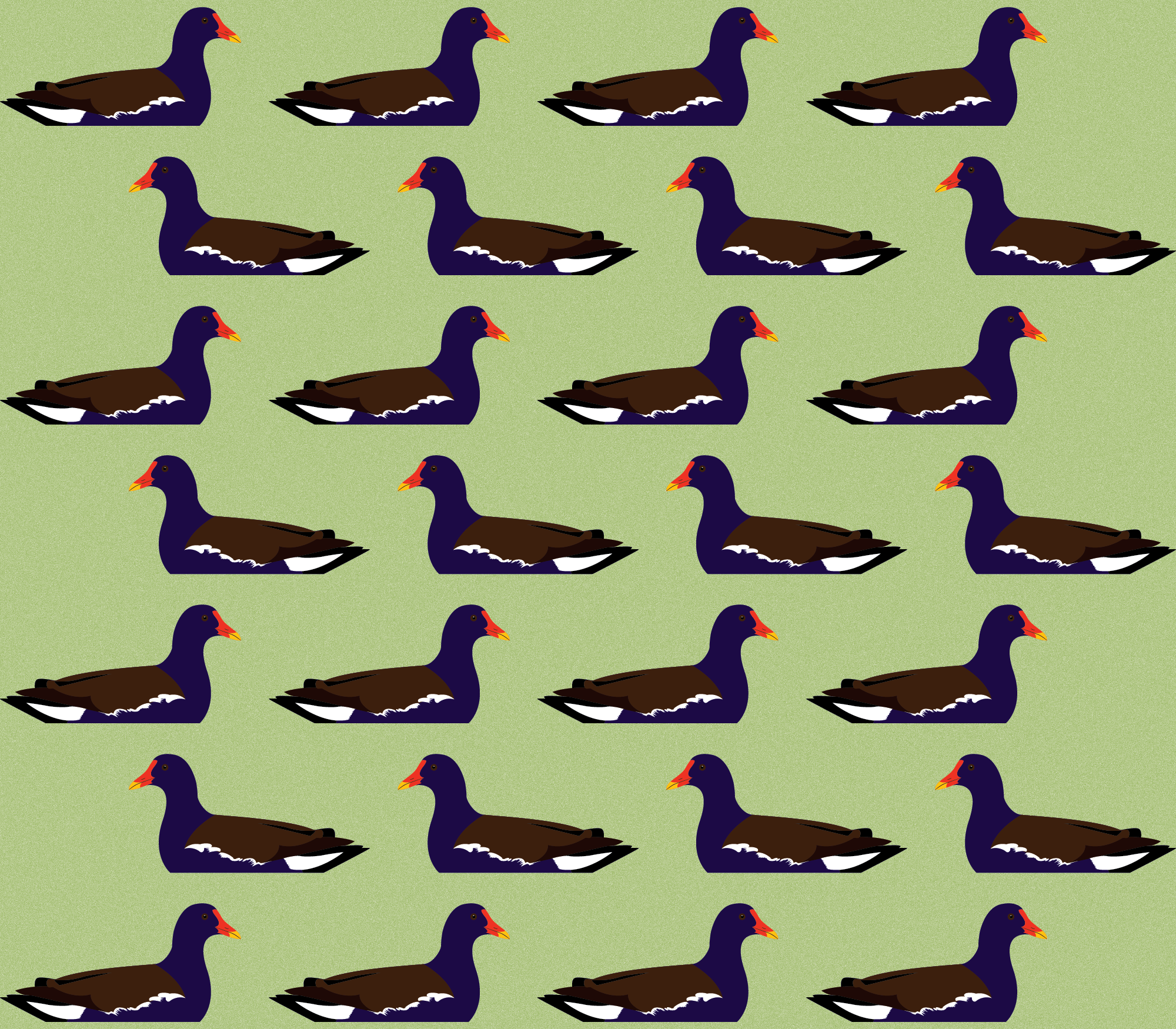 1st Outing Static [Recovered]-02.png