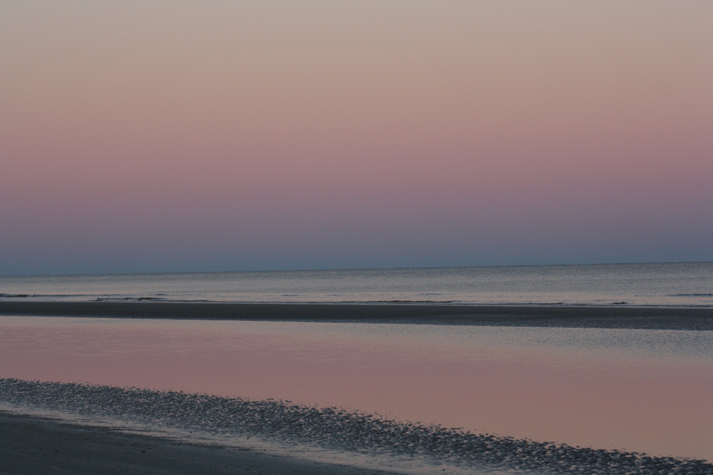 Jekyll Island, GA, 2026.