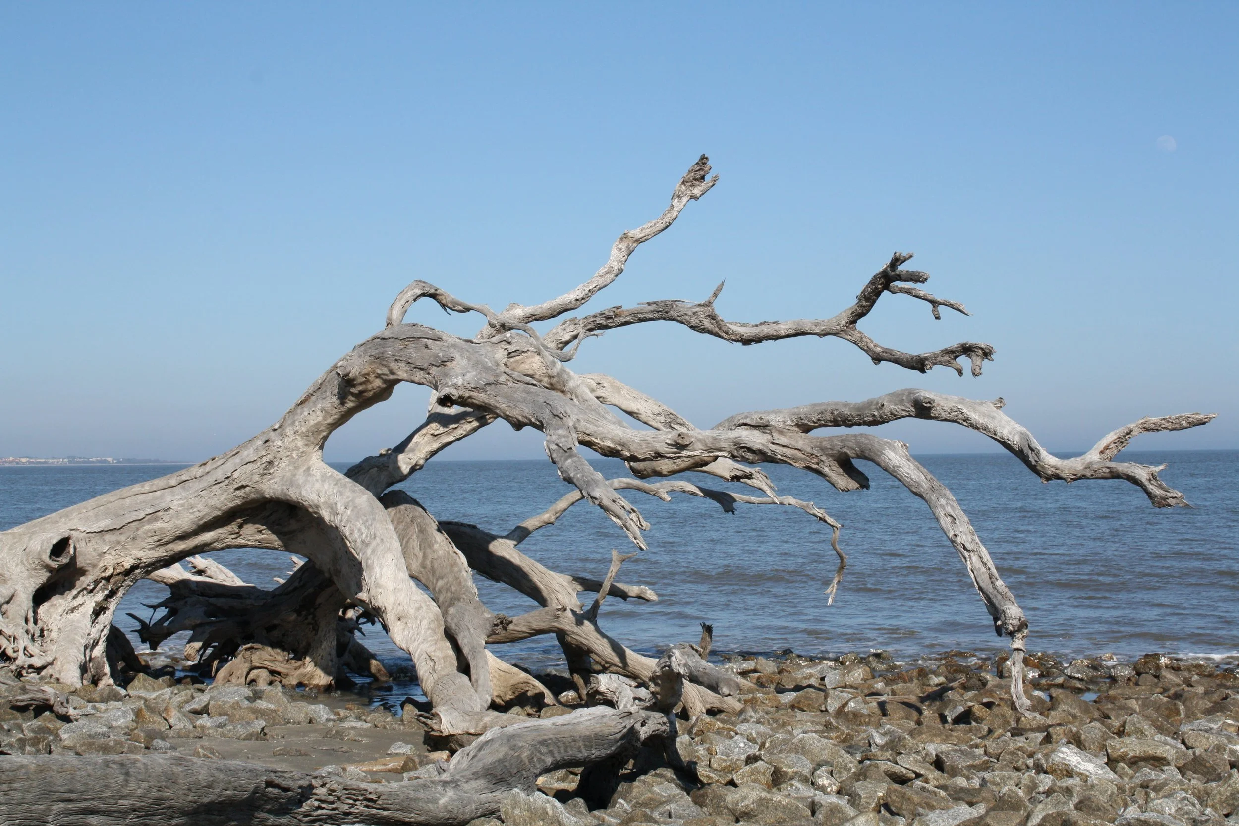 Jekyll Island, GA, 2025.