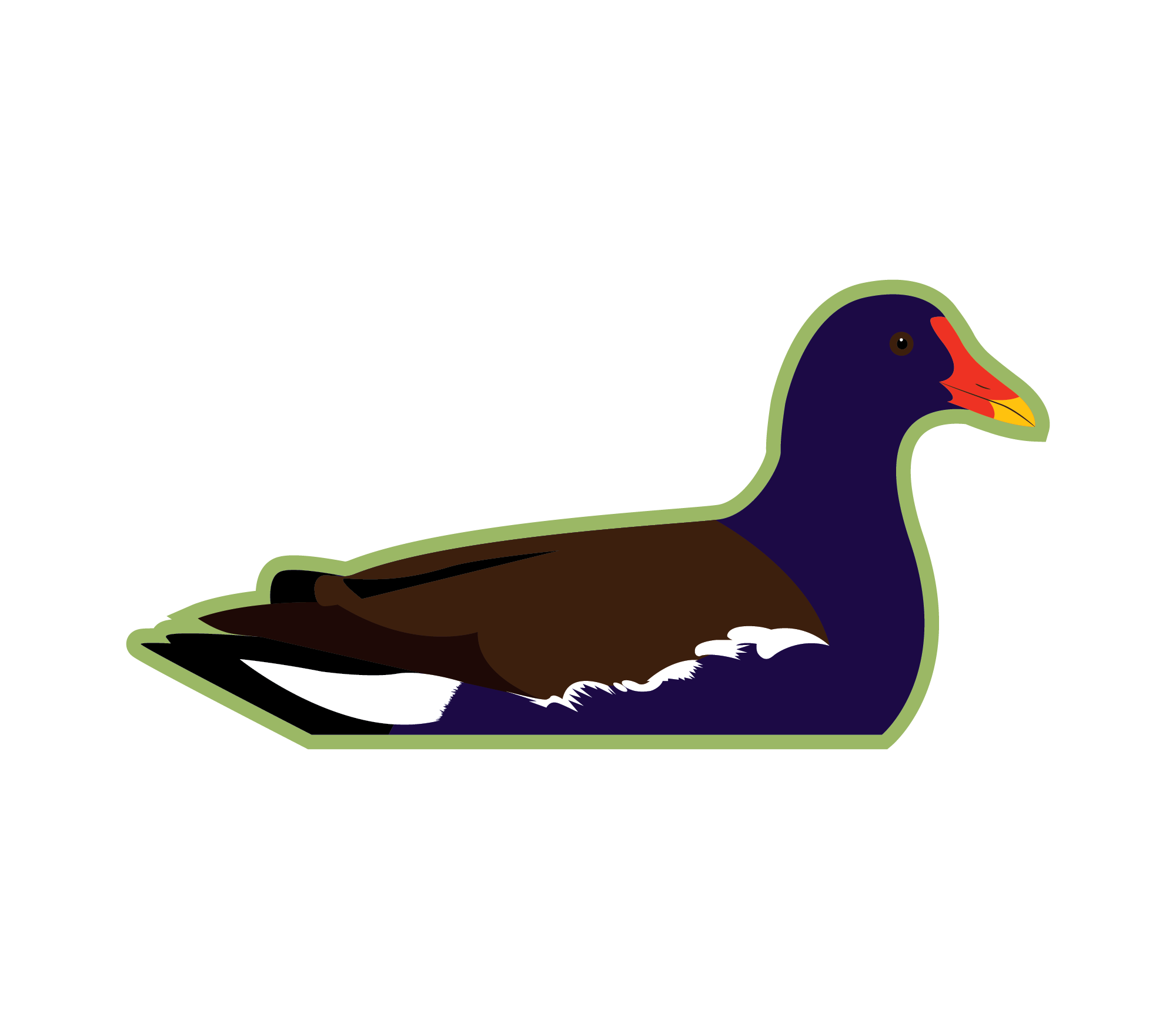 Gallinule2.png