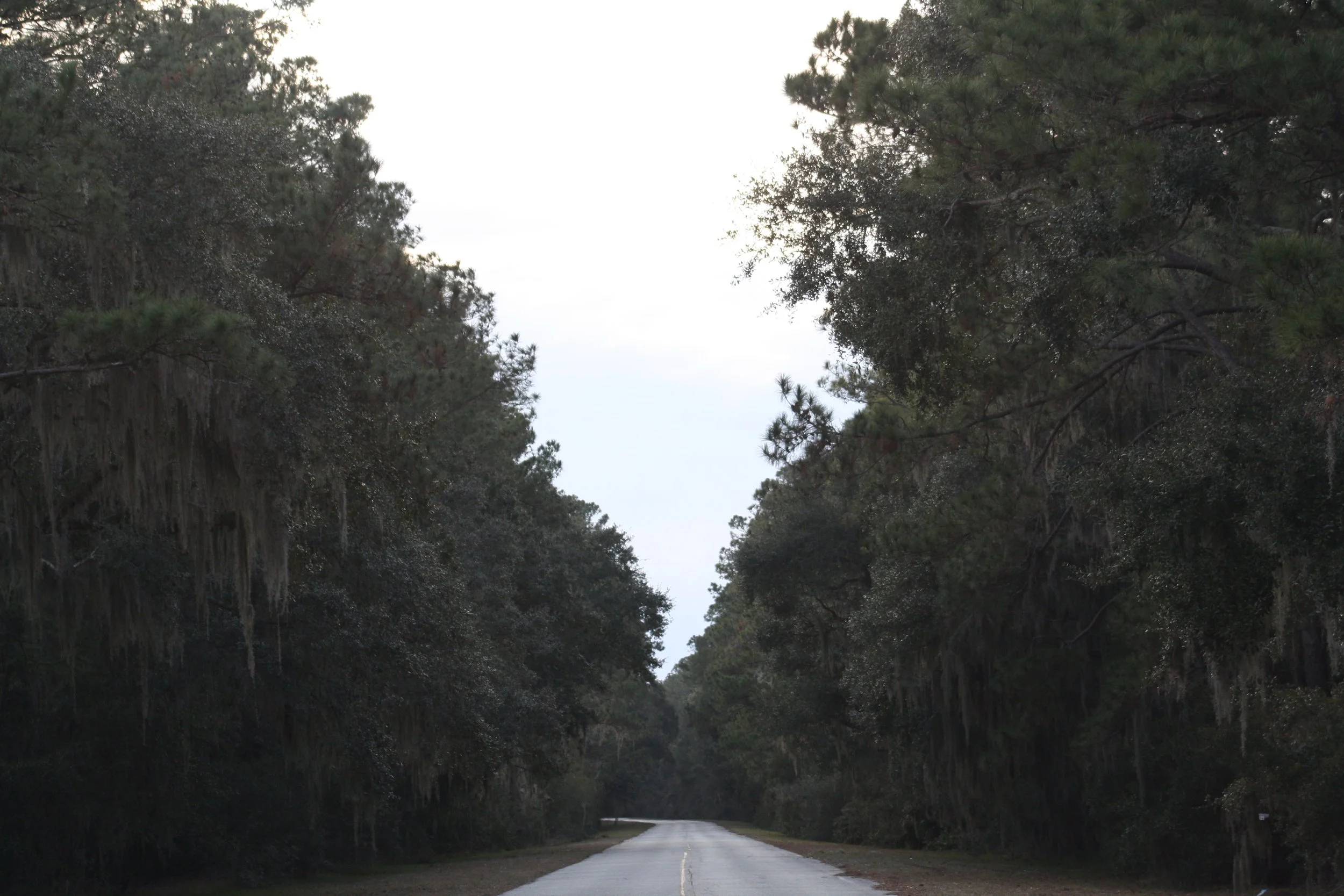 Skidaway Island, GA, 2026.