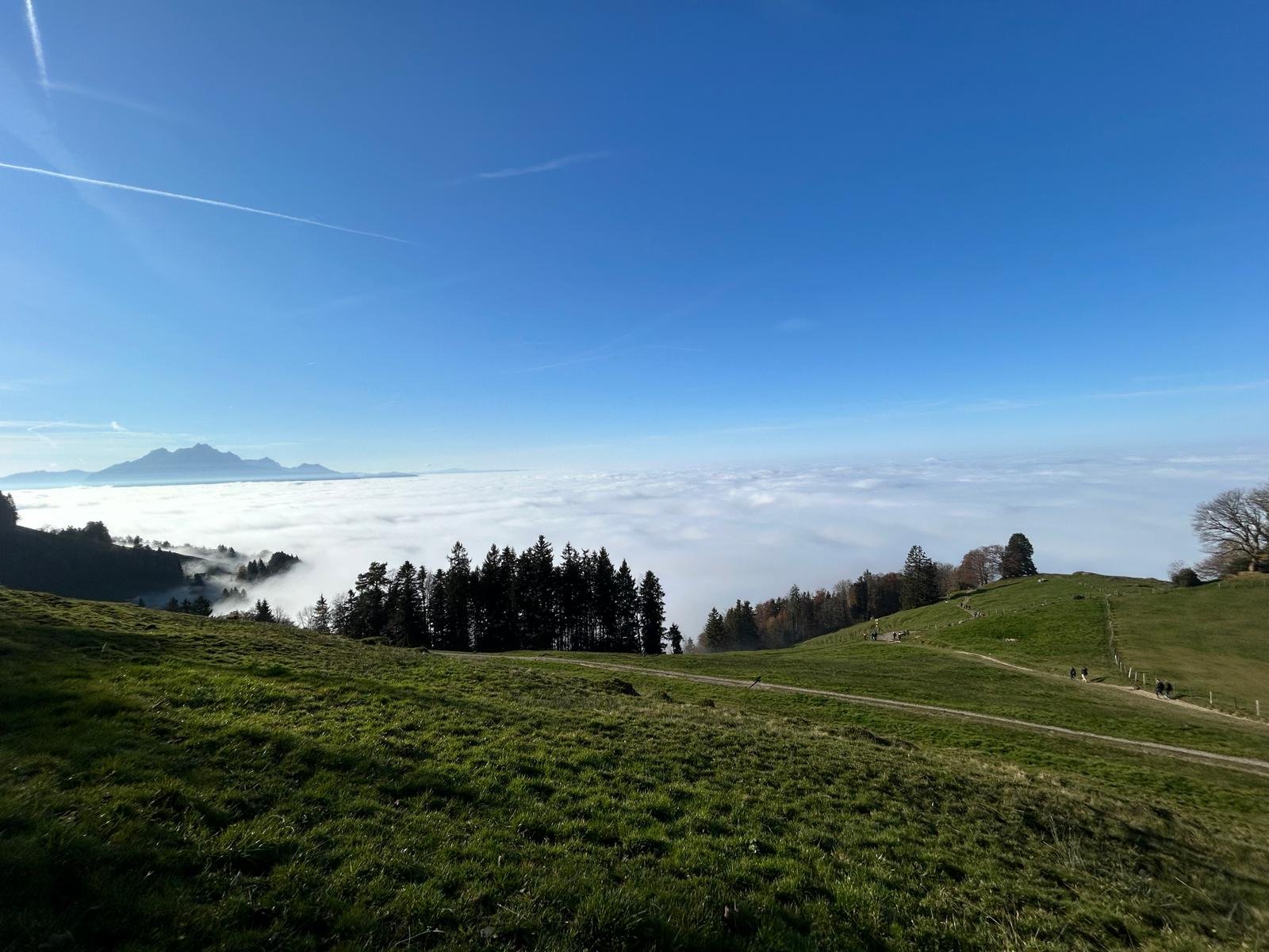 Rigi, CH, 2024.