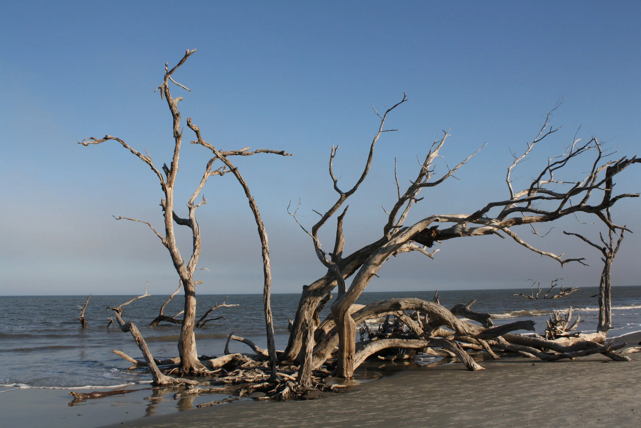 Jekyll Island, GA, 2025.