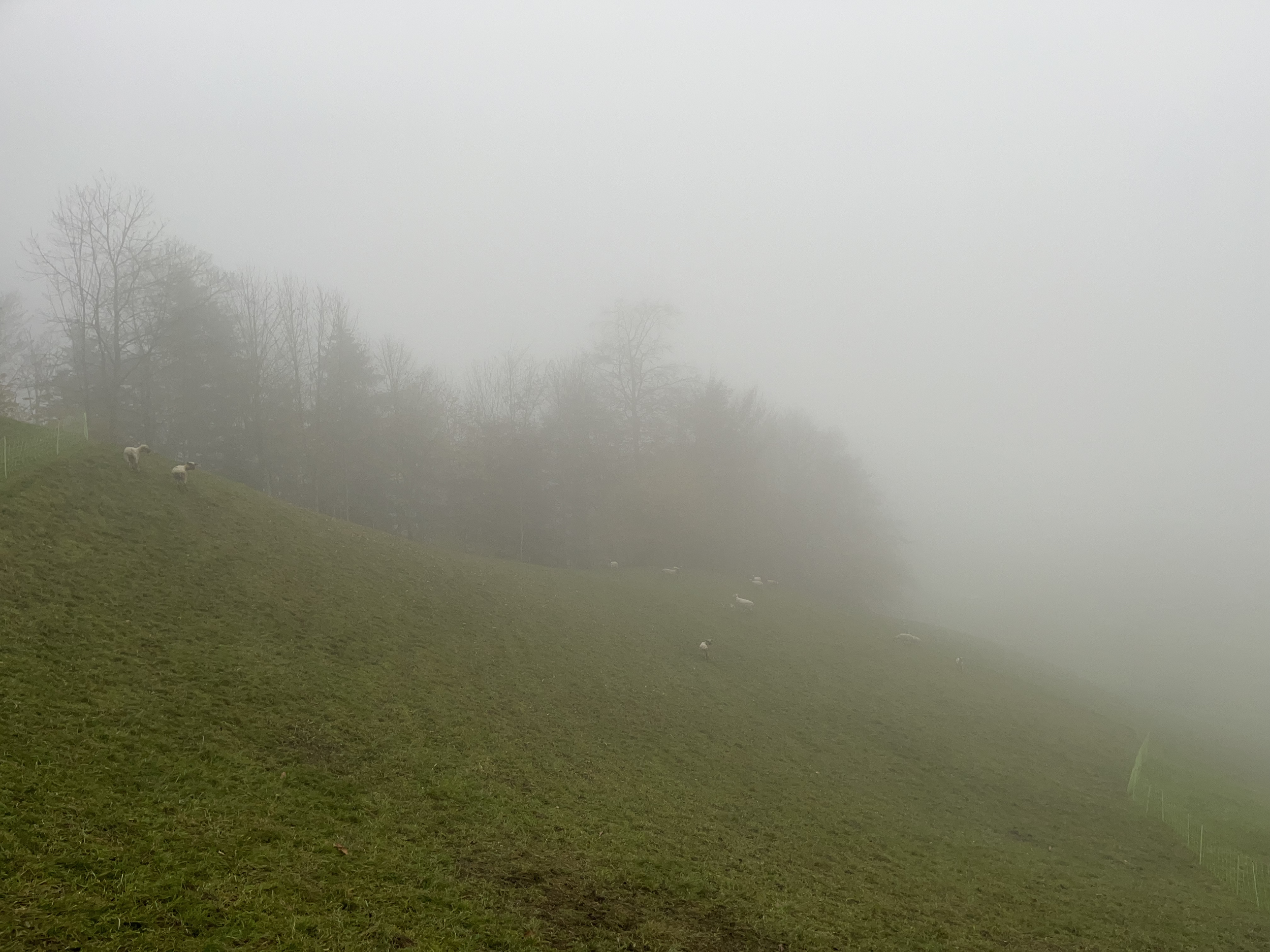Rigi, CH, 2024.