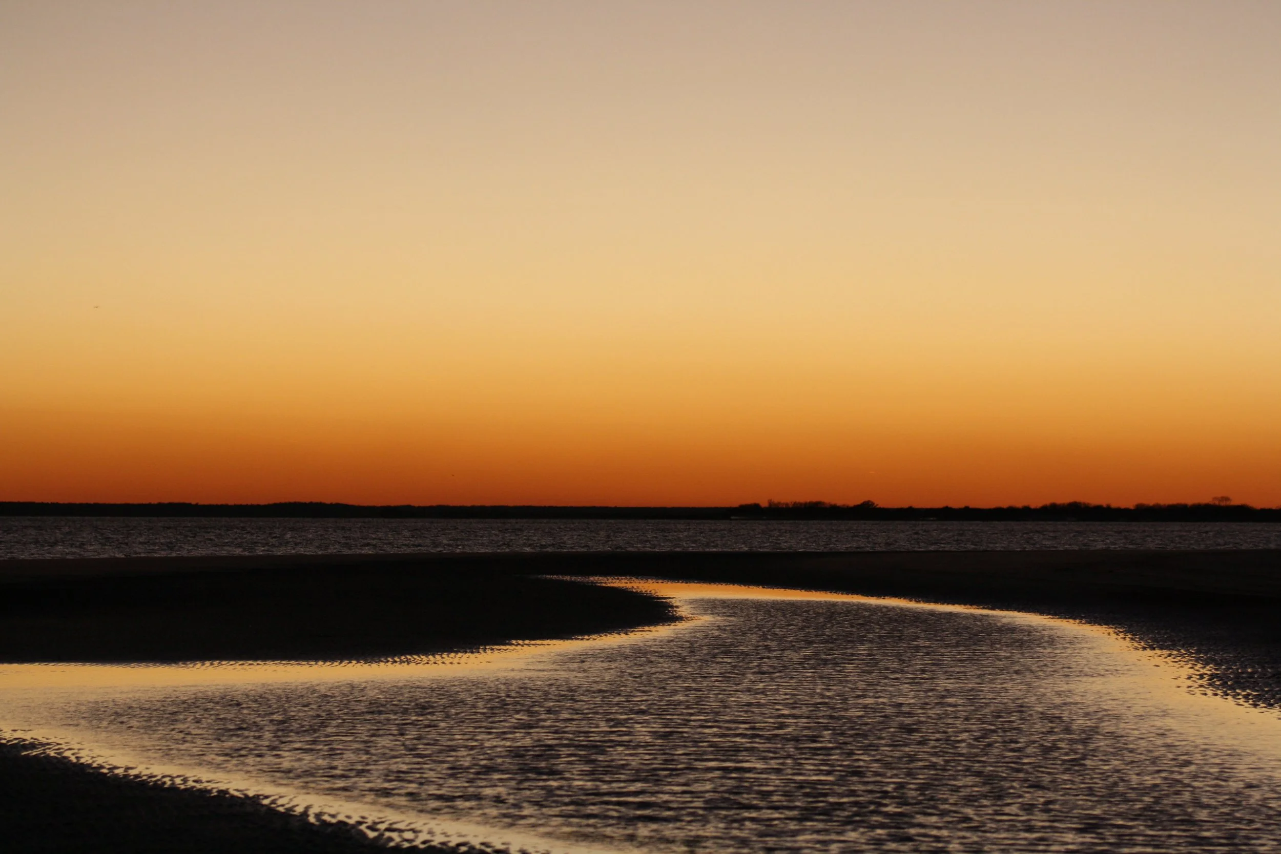 Jekyll Island, GA, 2026.