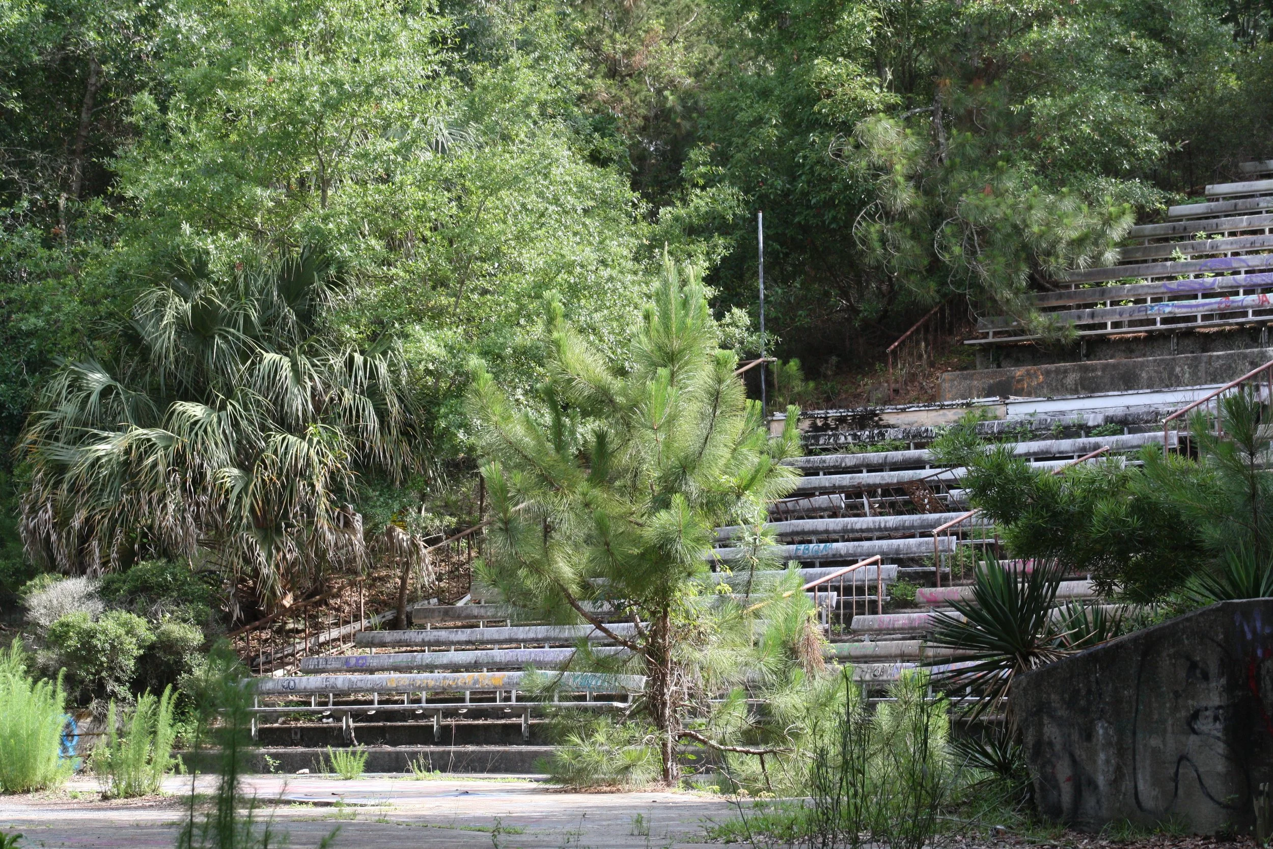 Jekyll Island, GA, 2025.