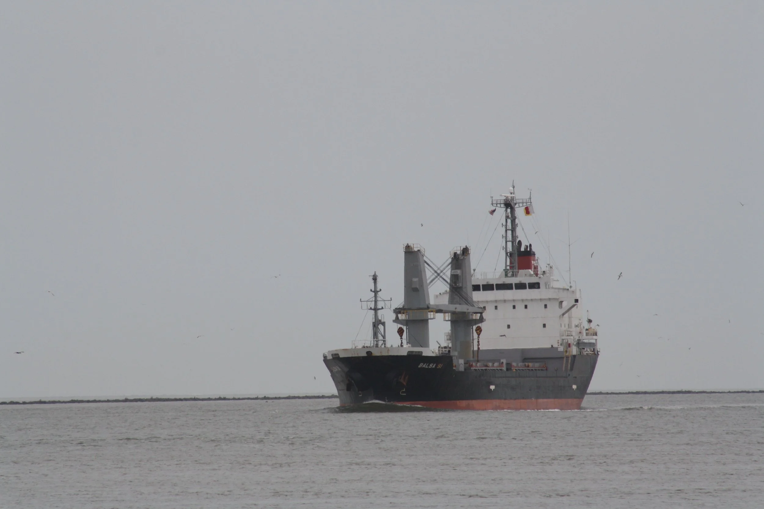 Fort Pulaski, GA, 2025.