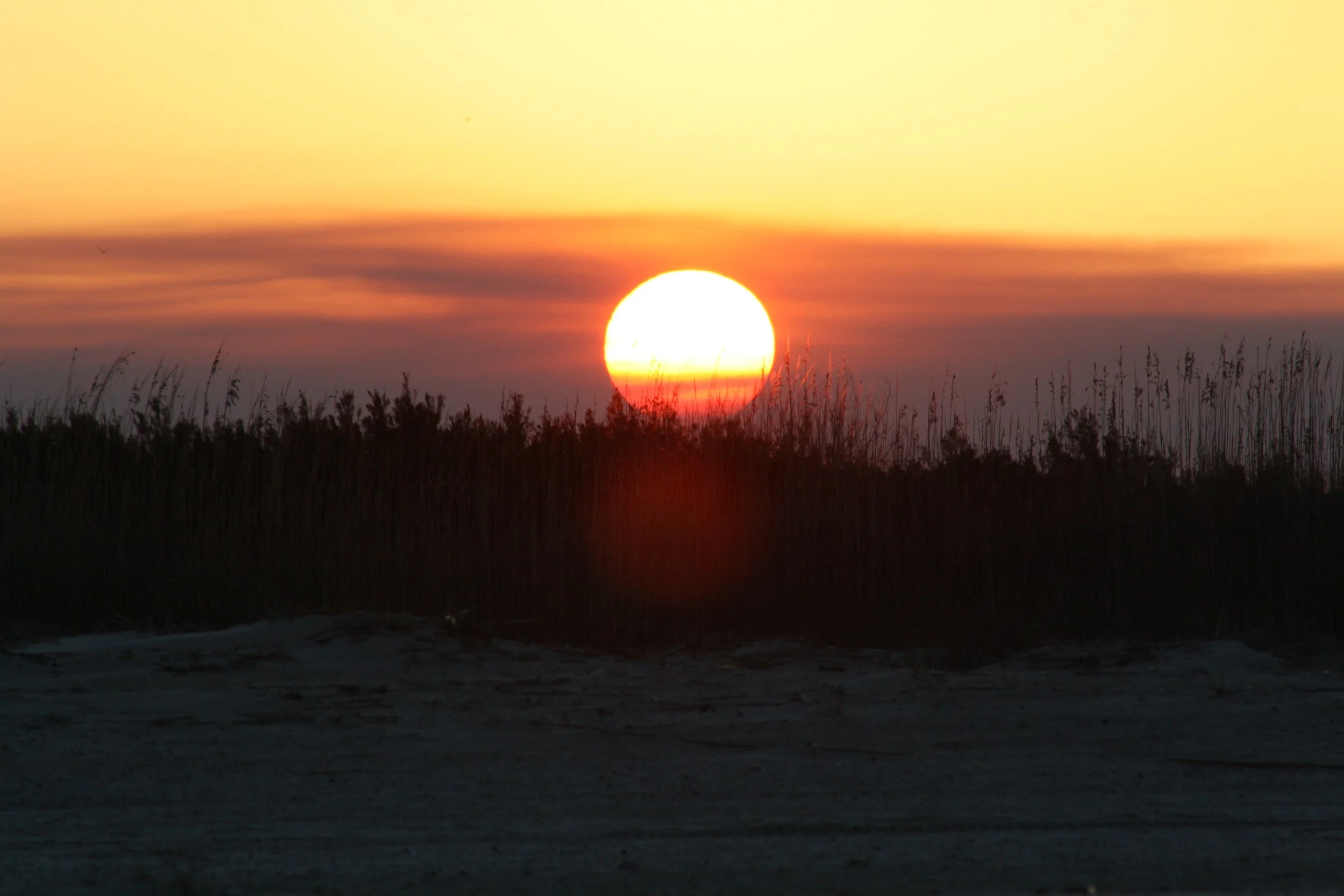 Tybee Island, GA, 2025.