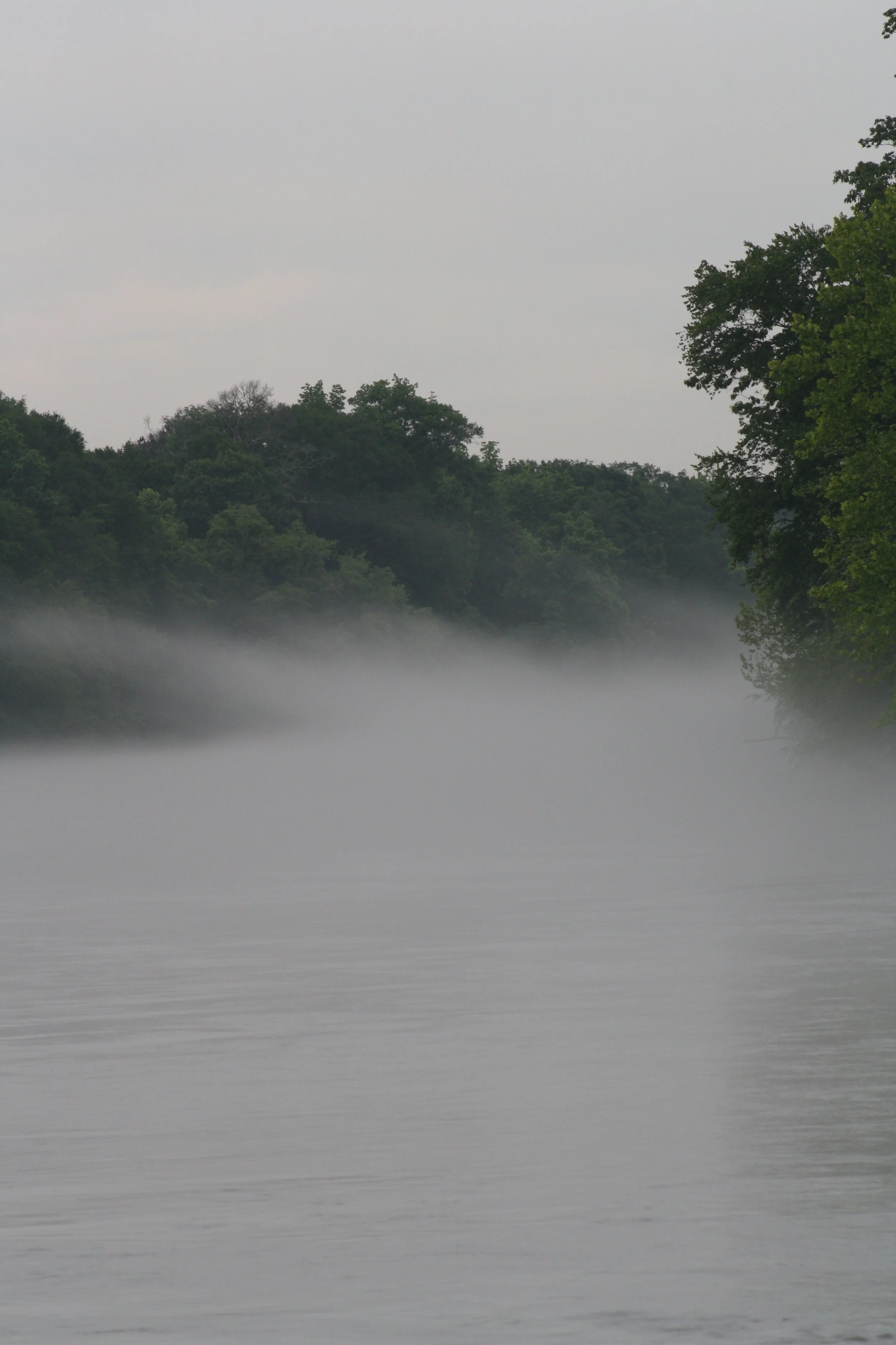 Cochran Shoals, GA, 2025.