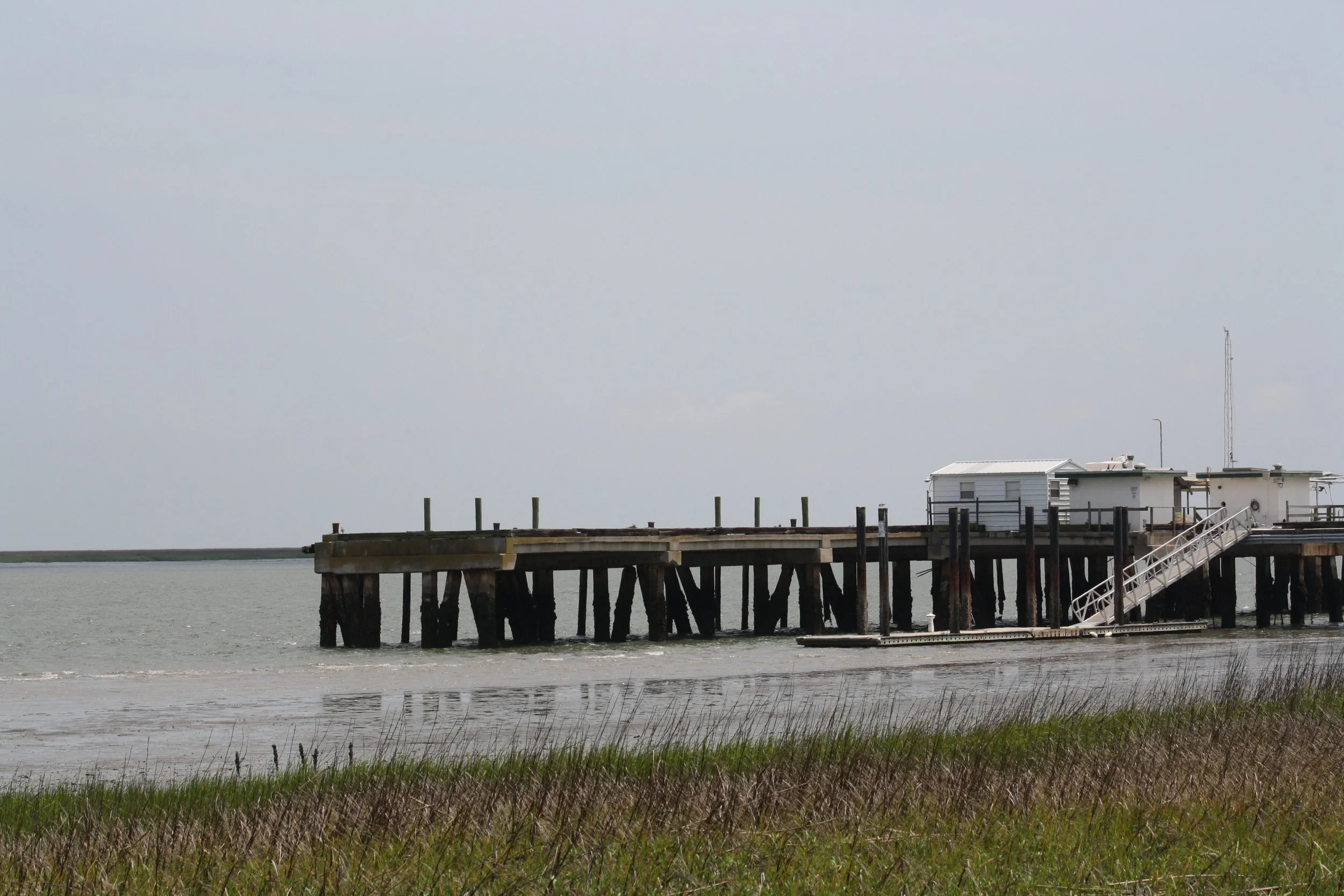 Skidaway Island, GA, 2025.