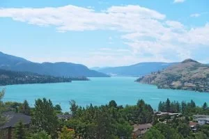 22-vernon-landscape-featured_district-300x200.jpg