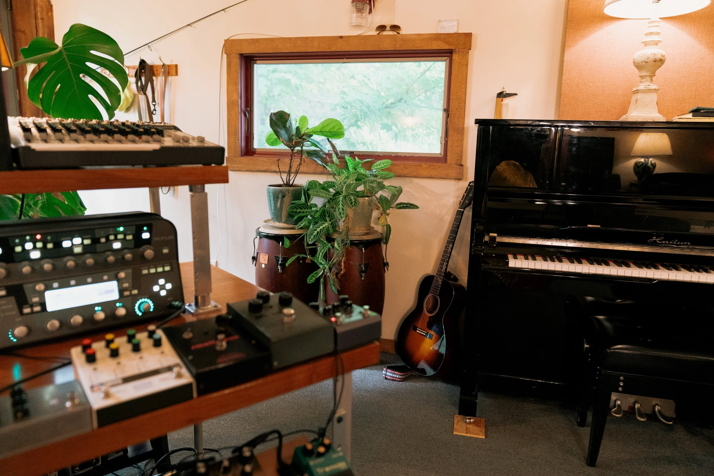 Room with a window, a grand piano, a guitar, potted plants, a lamp, and audio equipment.