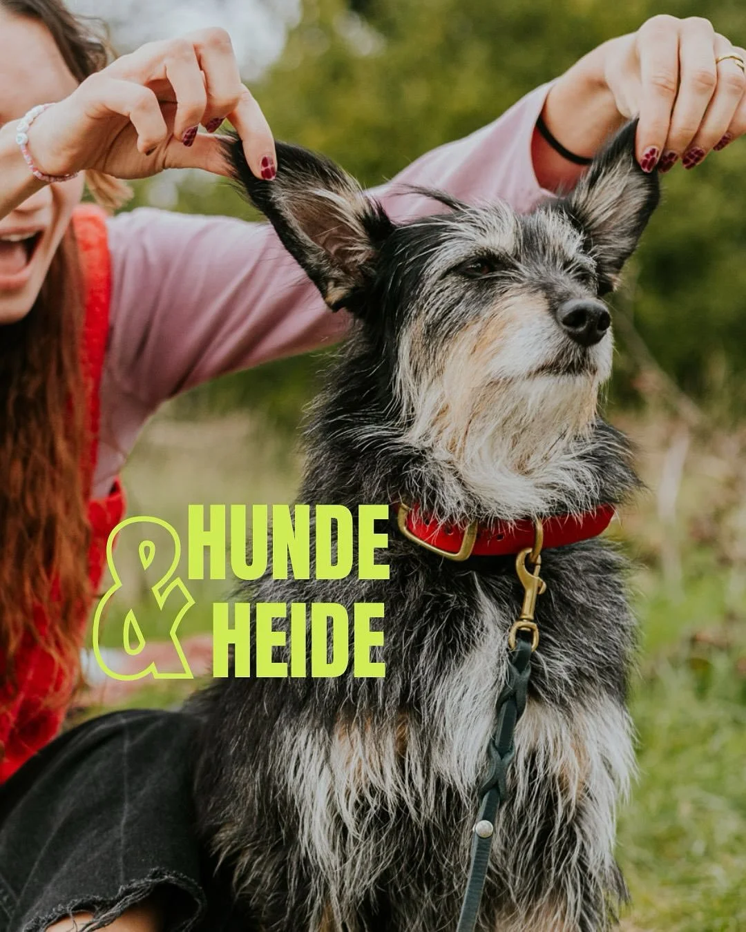 2026 nicht ohne Wanderwochenende &ndash; Hunde &amp; Heide, die Dritte!

@hundeimnebel und @kompasshunde stehen in den Startl&ouml;chern und erwarten euch vom 01. bis 03.05.2025 wieder in der L&uuml;neburger Heide. Dieses Mal mit noch mehr gemeinsame