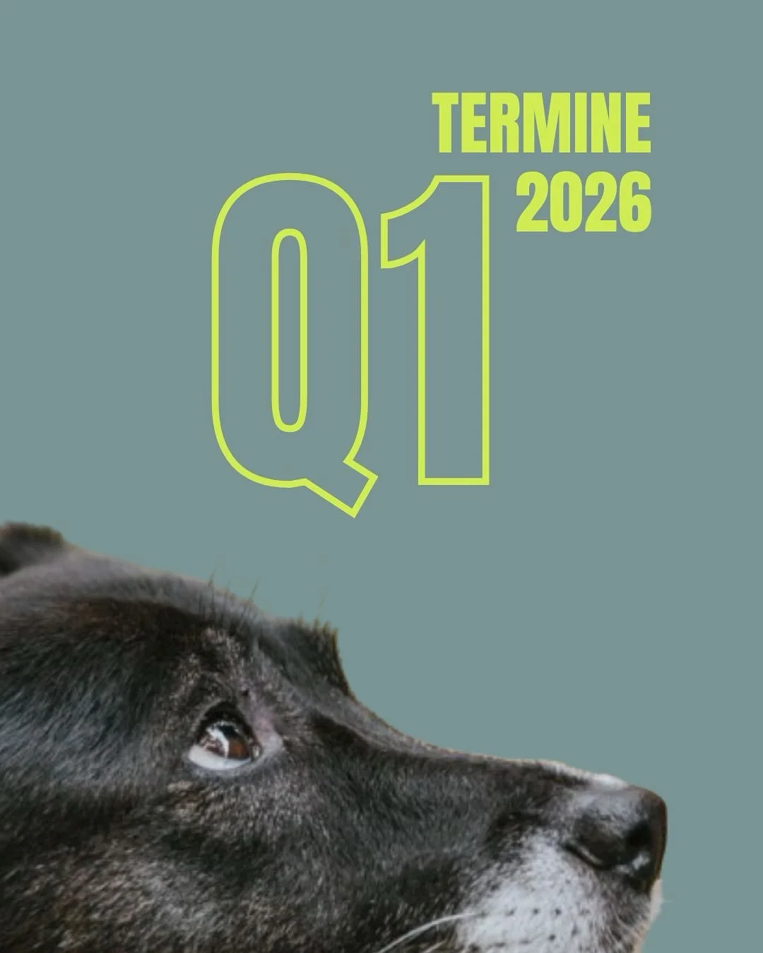 kalender gez&uuml;gt und rot eingetragen - hier kommen die ersten termine f&uuml;r 2026! 

ich freue mich auf spannende und gleichwohl ruhige, bewusste stunden mit euch! sie d&uuml;rfen sich leicht anf&uuml;hlen, aber auch holprig und es darf auch ma