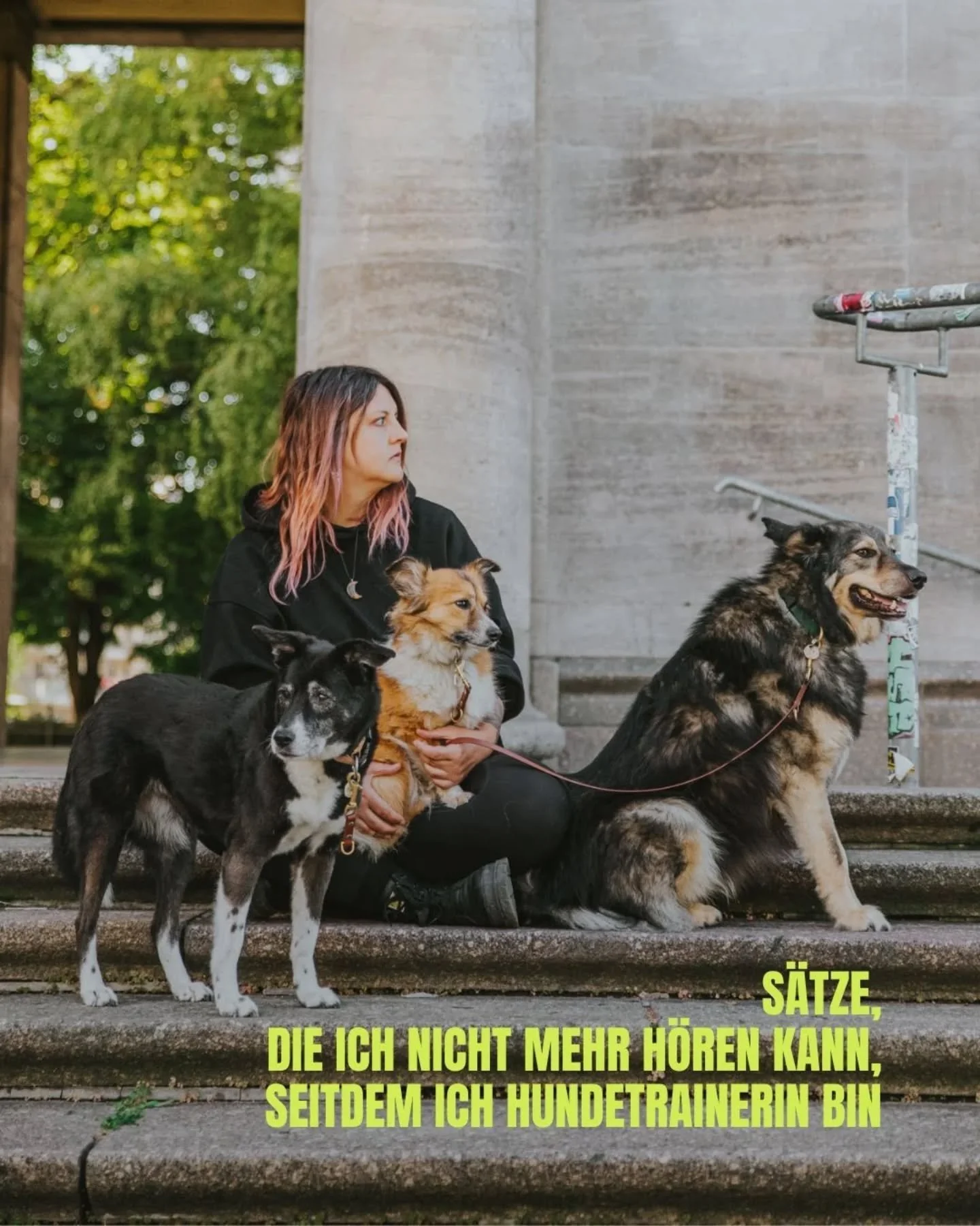 bevor ich in diese &bdquo;hundebubble&ldquo; abgetaucht bin, wusste ich nicht einmal, dass diese s&auml;tze existieren. und jetzt h&ouml;re oder lese ich sie gef&uuml;hlt jeden tag. auf hundepl&auml;tzen, auf social media, im vorbeigehen.

einige die