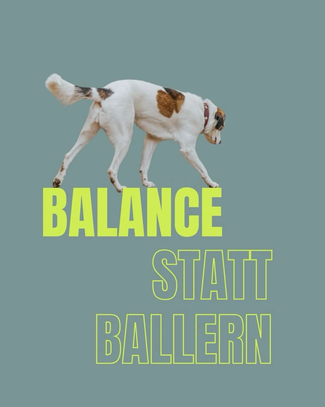 am 11. juni gehts los: fokus, bewegung &amp; besch&auml;ftigung ohne eskalation.

aus der besch&auml;ftigungsstunde &bdquo;balance statt ballern&ldquo; wird ein 4-teiliger kurs. f&uuml;r hunde, die drau&szlig;en schnell hochfahren, sich schwer fokuss