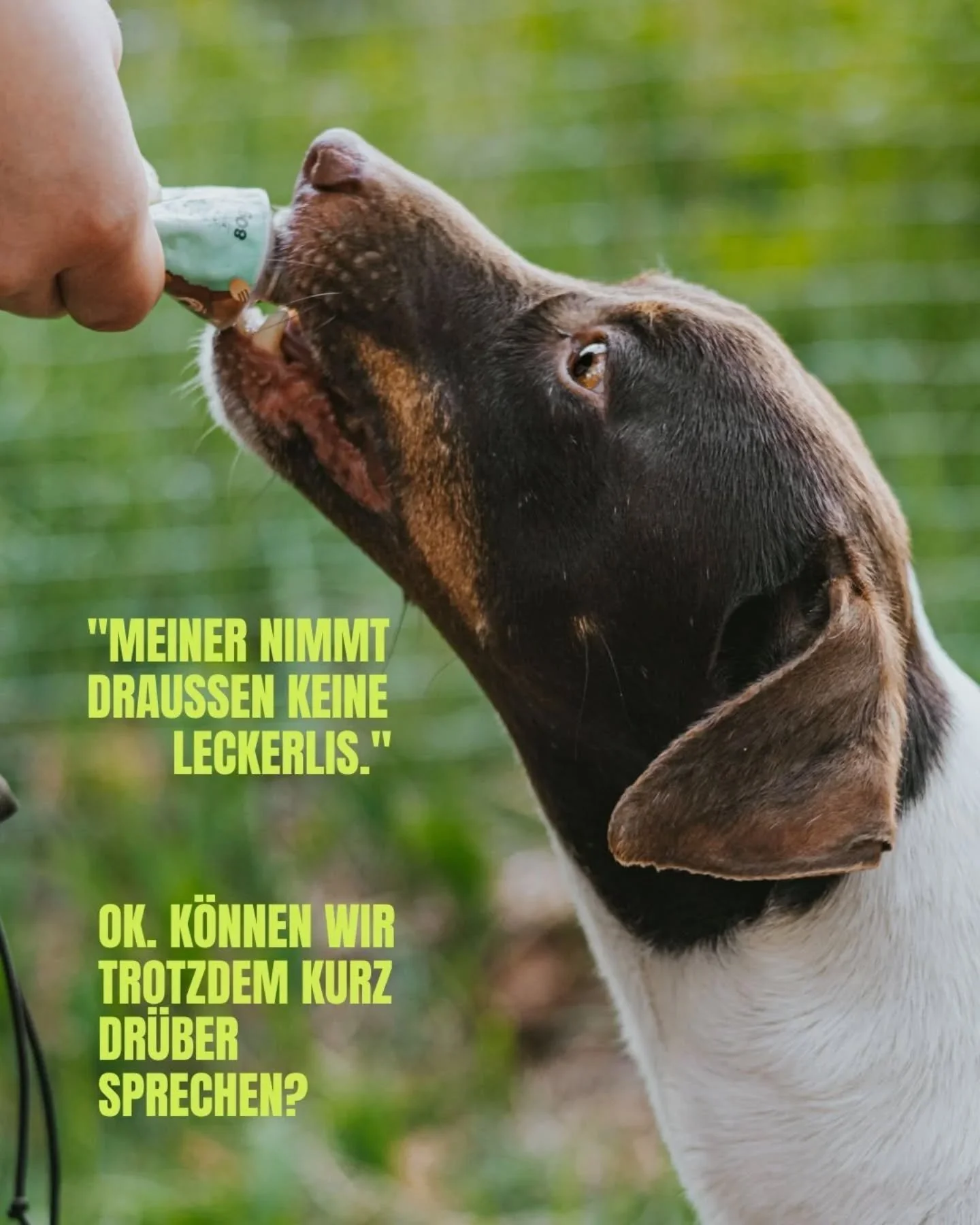 "m&auml;kelig" ist halt schnell gesagt.

ein br&ouml;seliges, trockenes st&uuml;ck futter, das beim kauen gef&uuml;hlt eher mehr wird als weniger. der leckerlibeutel aka die bunte t&uuml;te, sechs sorten &bdquo;f&uuml;r alle f&auml;lle&ldqu