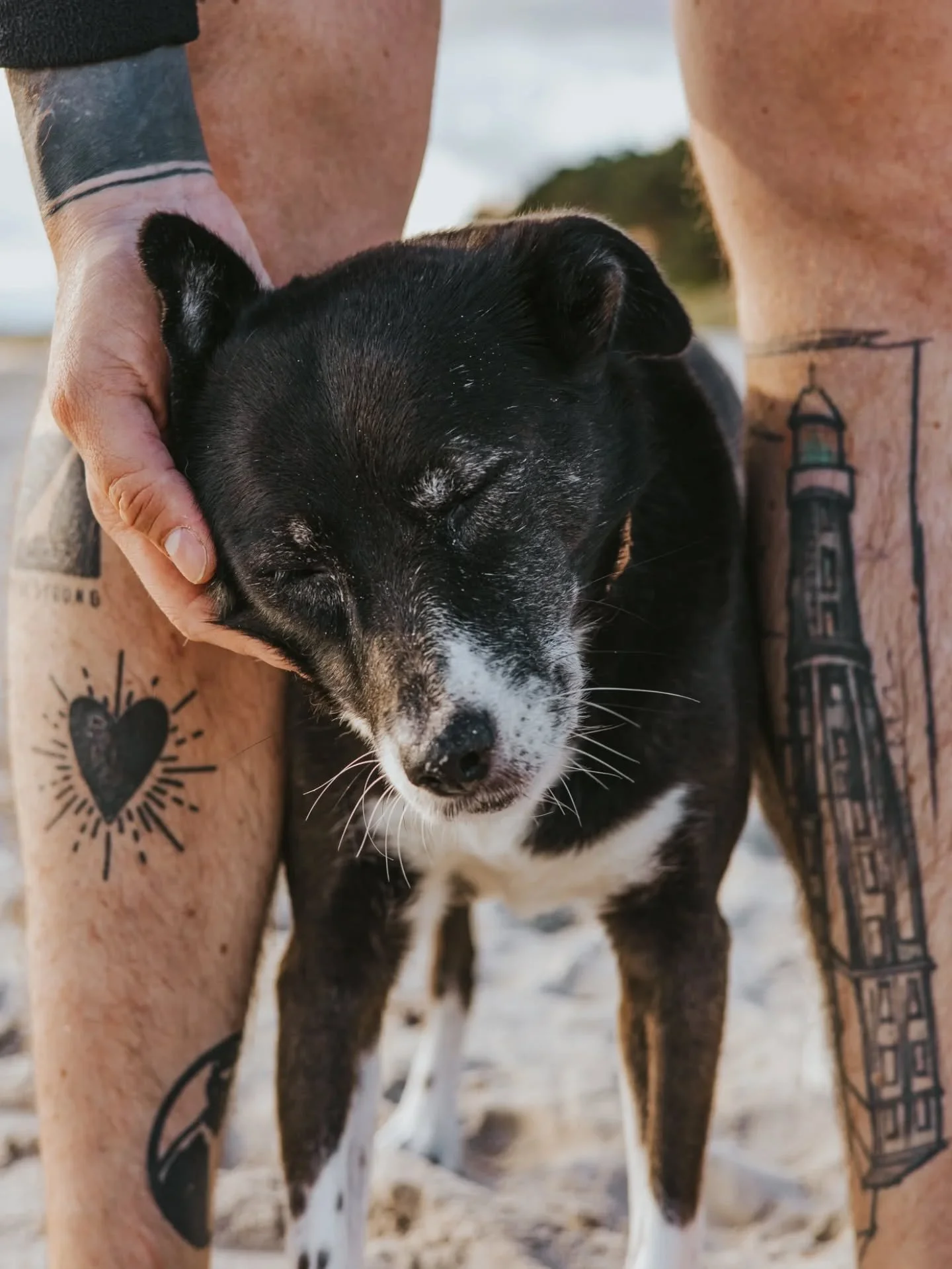vor 8 jahren habe ich mich entschieden, f&uuml;r einen hund. suchkriterien: auf keinen fall unter 5 jahre alt. am liebsten schwarz, gem&uuml;tlich. sonst keinerlei gro&szlig;e anspr&uuml;che. aber wirklich nicht zu viel energie. 

ich dachte, gut, 6-
