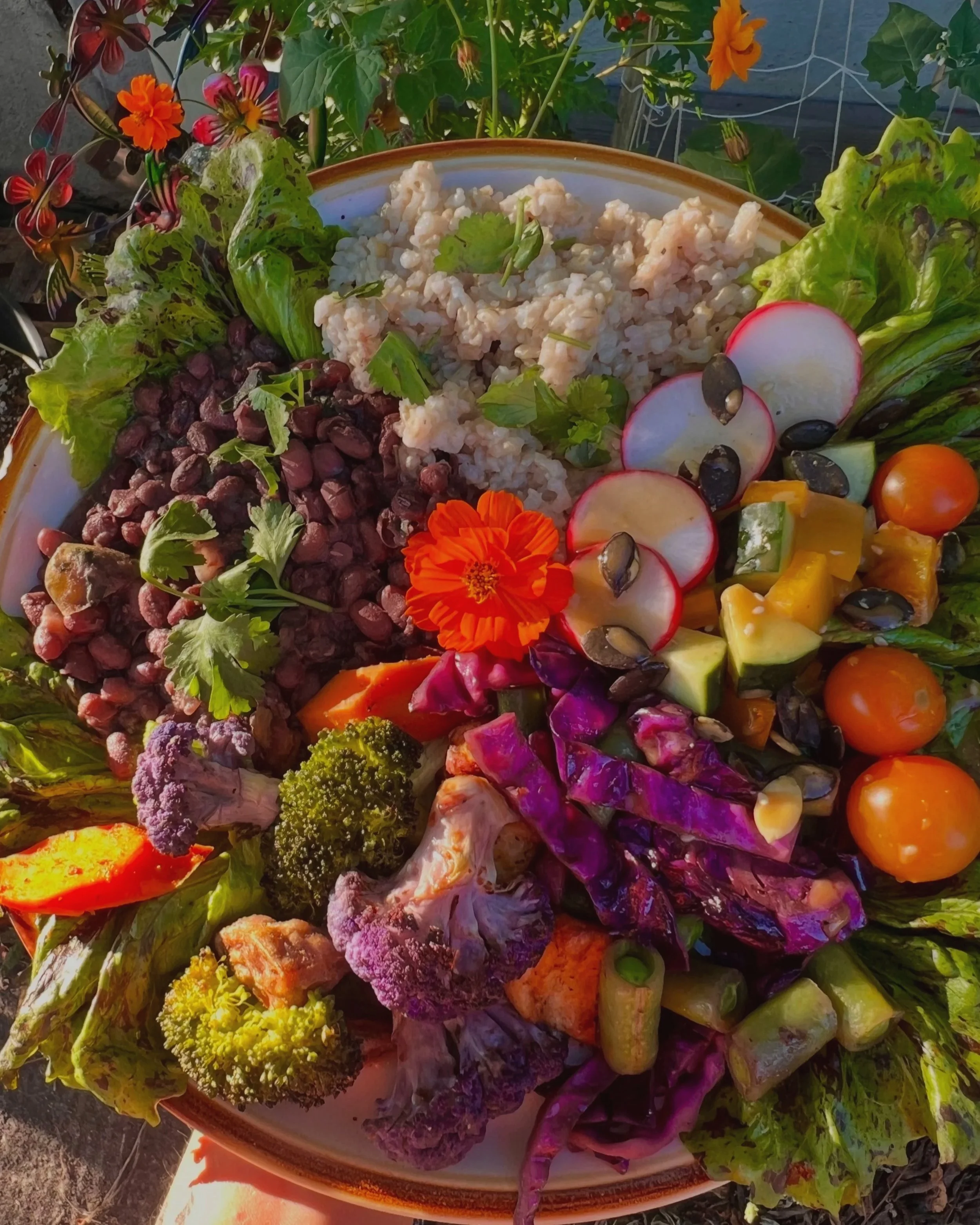 A colorful vegetable and grain salad with cherry tomatoes, radishes, sliced red and yellow bell peppers, purple and green broccoli, purple cabbage, rice, black beans, and garnished with an orange flower, served on a large round plate surrounded by leafy greens and flowers.