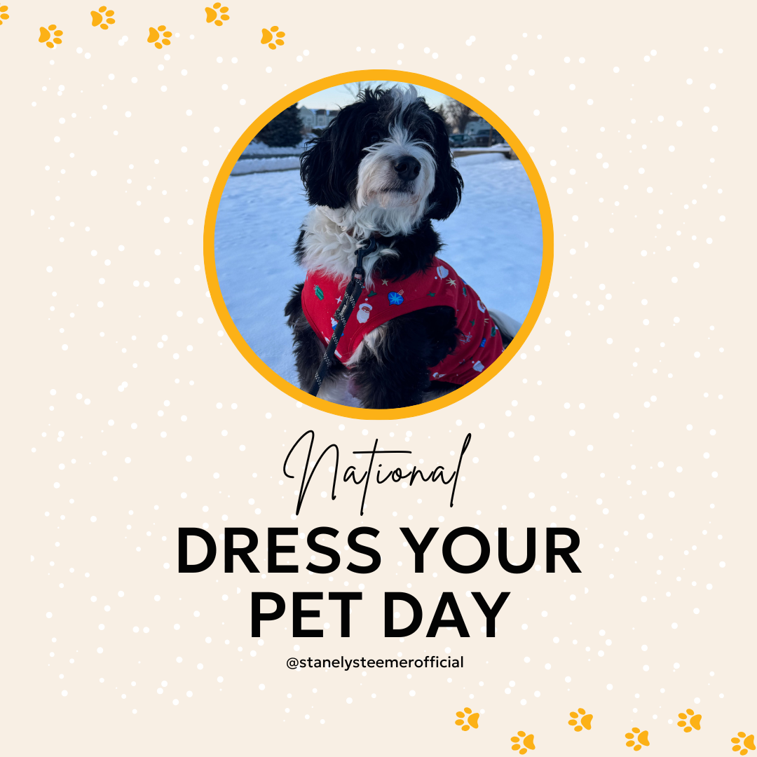 Dress Your Pet Day.png