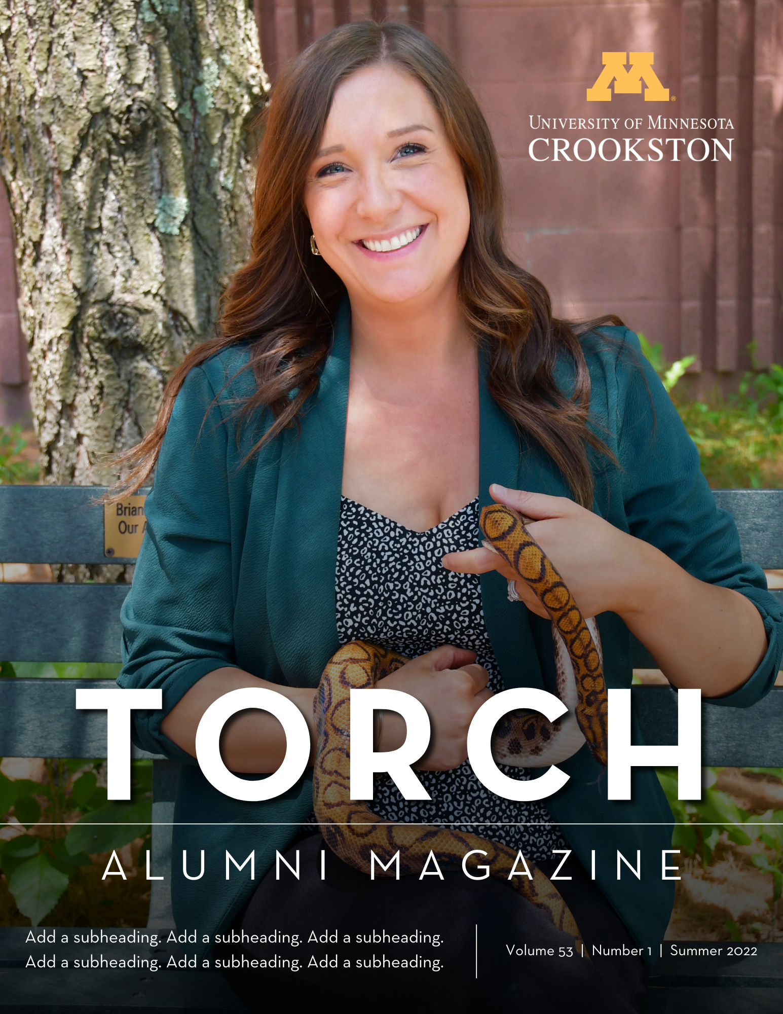 Torch Cover (1).png