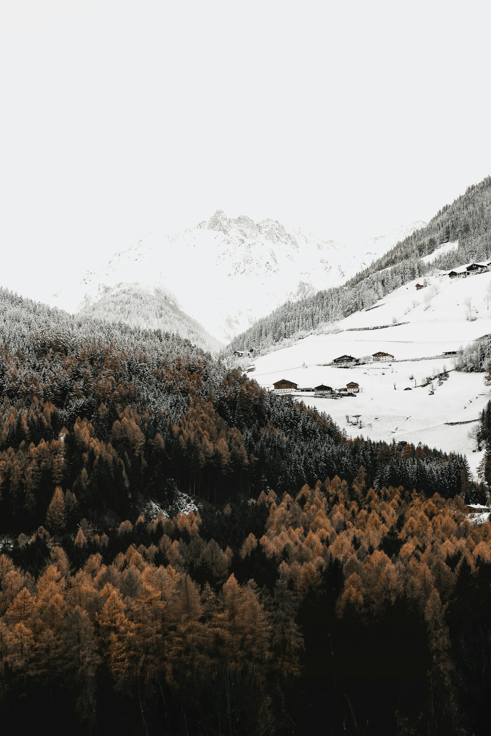unsplash-image-_Z1fUJ8BEfI.jpg