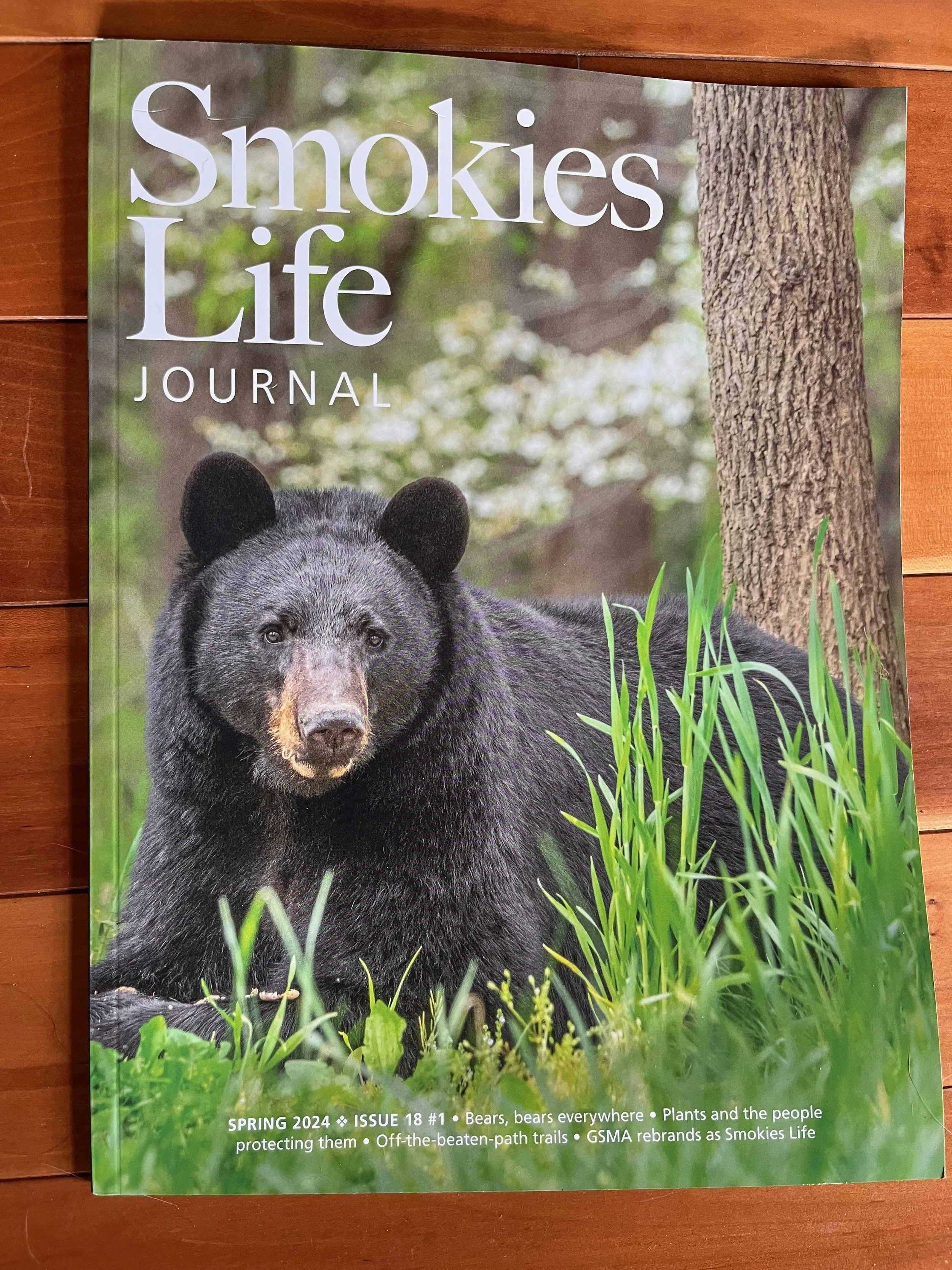 Cover of Smokies Life Journal Spring 2024 issue featuring a black bear in a forested area with green grass and trees.