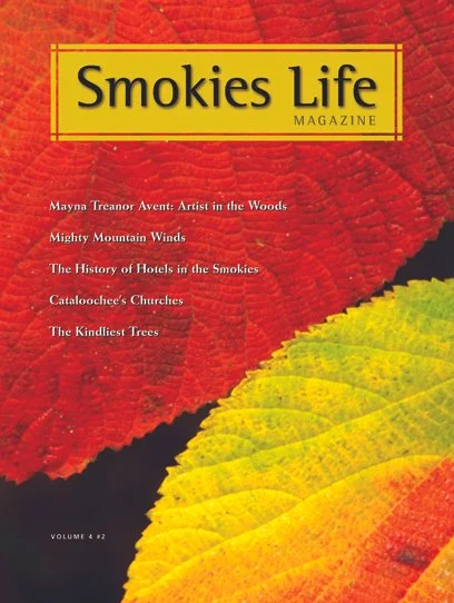 Cover of Smokies Life Magazine featuring colorful fall leaves and article titles.