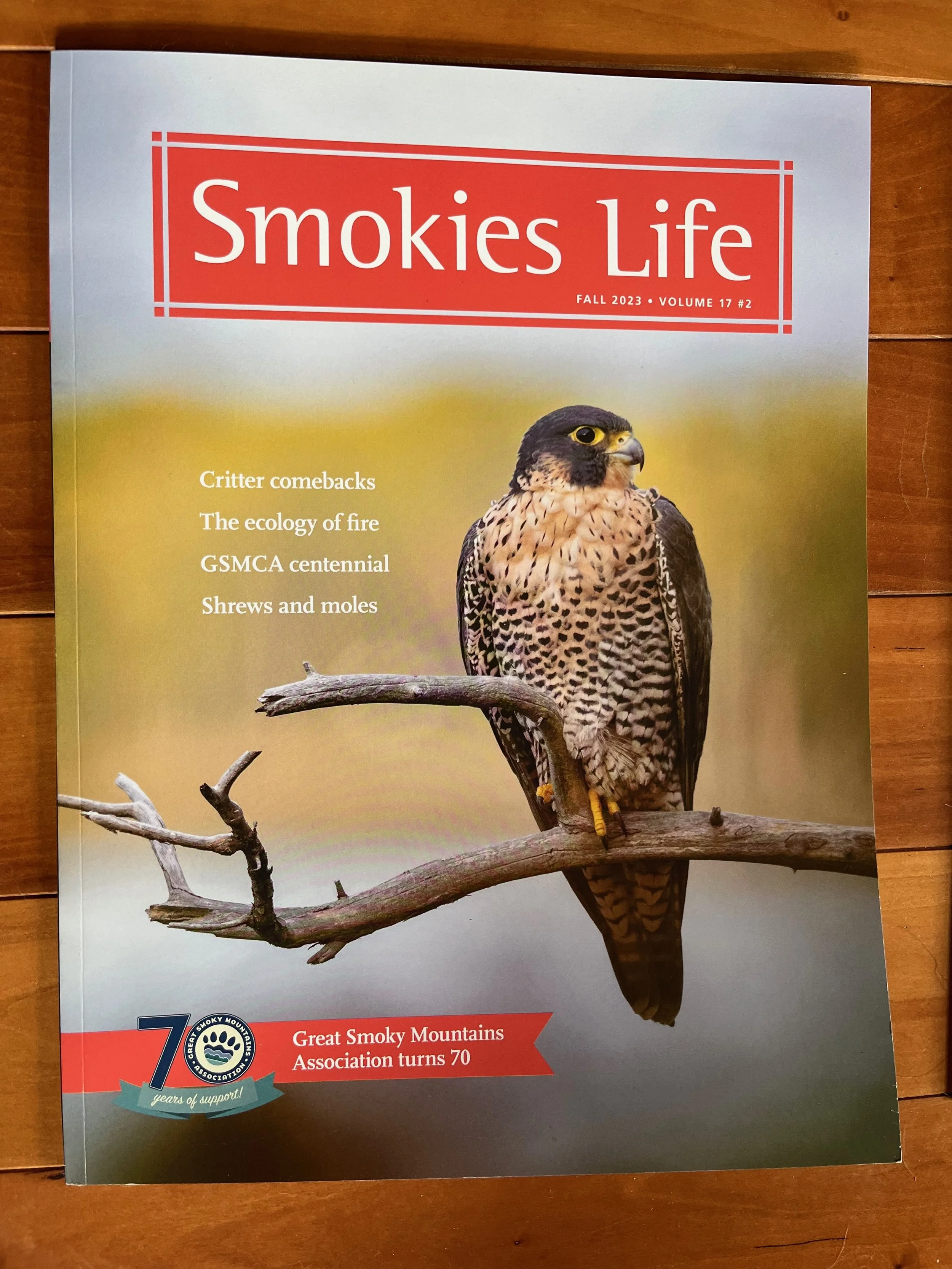 Cover of Smokies Life magazine, Fall 2023 issue, featuring a bird of prey perched on a branch, with the title and articles listed.