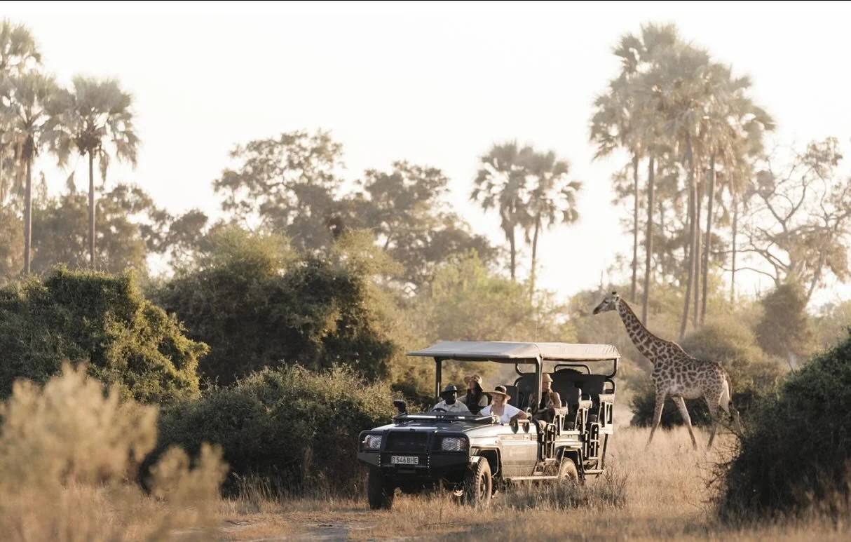 So many fun trips already in the works for 2026!

Finalizing an itinerary for a family&rsquo;s 14 day African adventure that includes -

🇿🇦 Cape Town &ndash; Cape Penguins, Table Mountain, colorful Bo-Kaap, and Cape Point.

🇧🇼 Okavango Delta, Bot