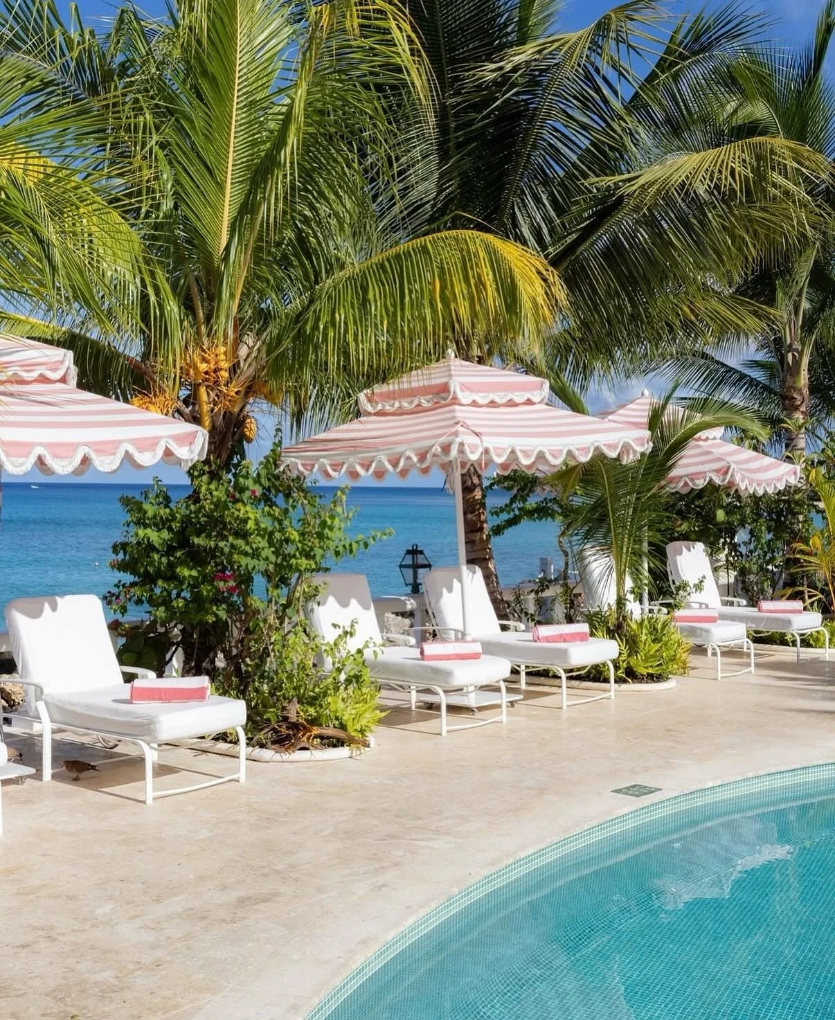 The design and charm of @cobblerscovehotel 🫶🏼

In love with the pink-striped perfection of Cobblers Cove 💕 Located on Barbados&rsquo; serene west coast, this chic hideaway blends English country-house charm with Caribbean soul. Think pastel suites