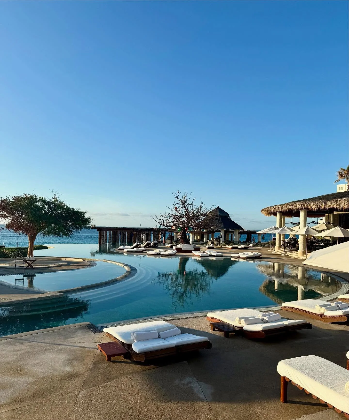 Take the trip! 🍋&zwj;🟩🌮🪇

Just returned from the most fabulous few days at the beautiful @lasventanasalparaiso 

Every detail is pure perfection - from the stunning 84 suites/villas and incredible dining, to the most relaxing Cabo vibe. The servi