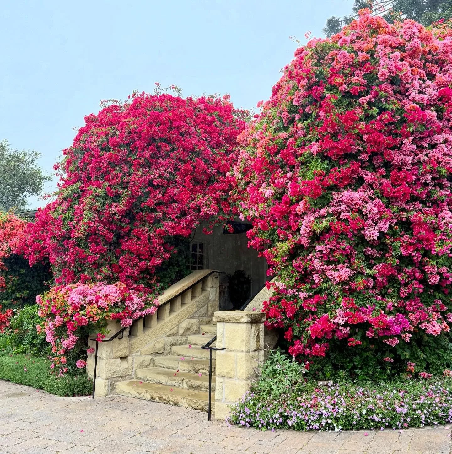 Recently visited @sanysidroranch, one of the most iconic stays on Californias coast.

Once started as a citrus ranch, it has evolved and welcomed icons like Winston Churchill and where JFK and Jacqueline Kennedy honeymooned! 

With only 38 cottages, 