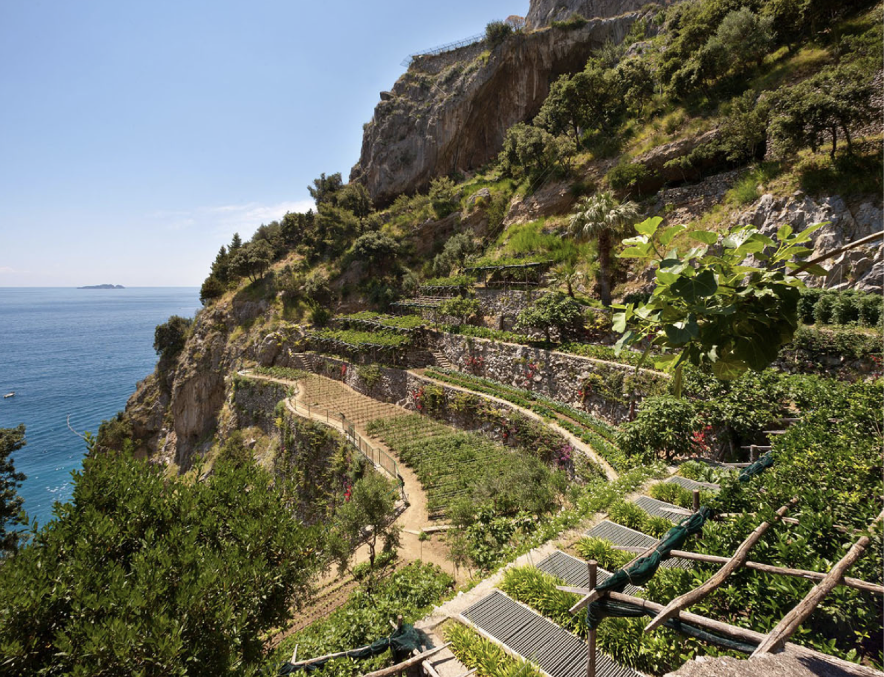 Terraced gardens built into a hillside overlooking the ocean, with lush greenery and some small trees, set against a backdrop of a rocky cliff and clear blue sky.