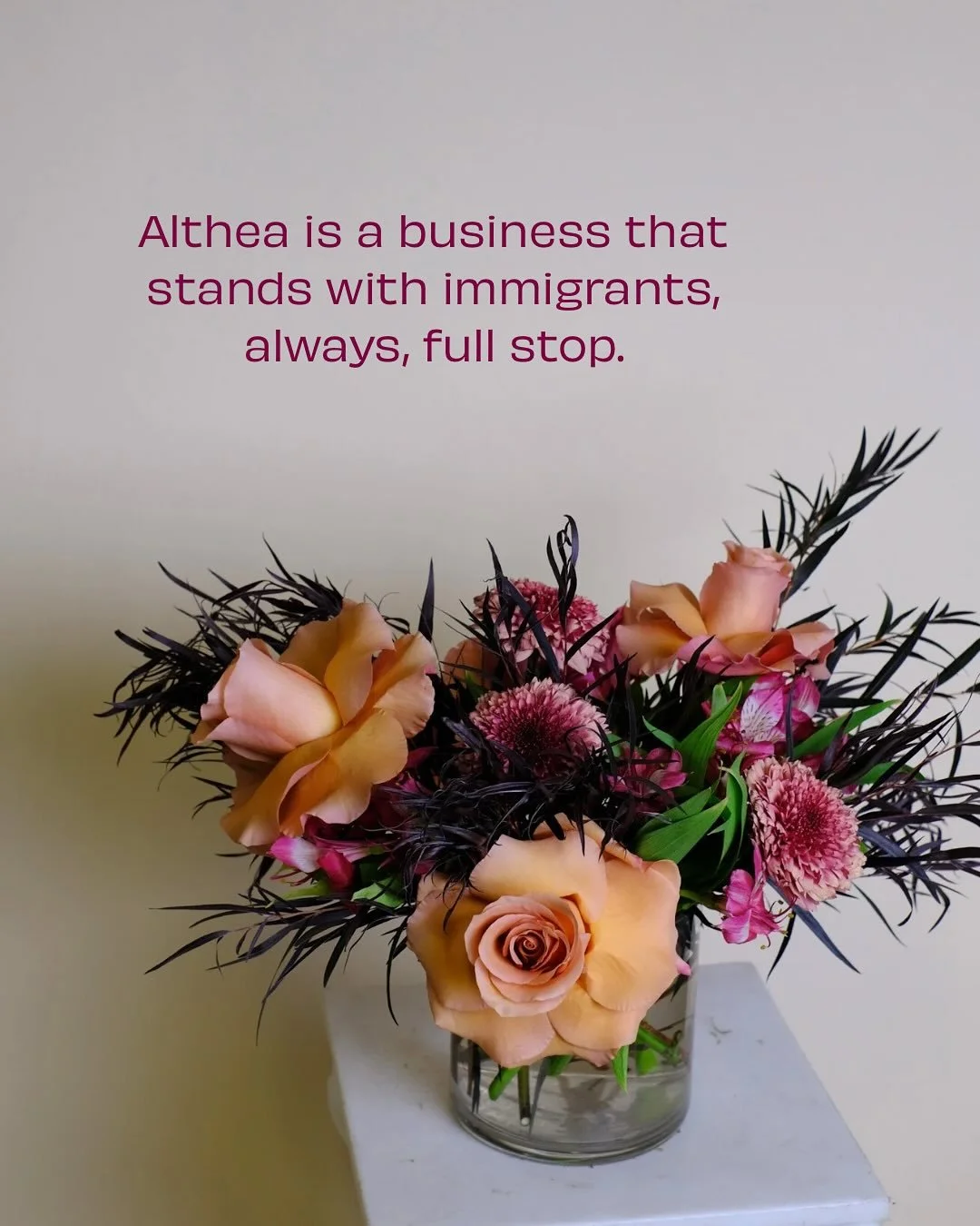 Nothing I say about how I support immigrants + f*ck ICE will be surprising to my followers, because Althea has always been a business and I have always been a person who is not afraid to be upfront with my values or put my money where my mouth is.

1