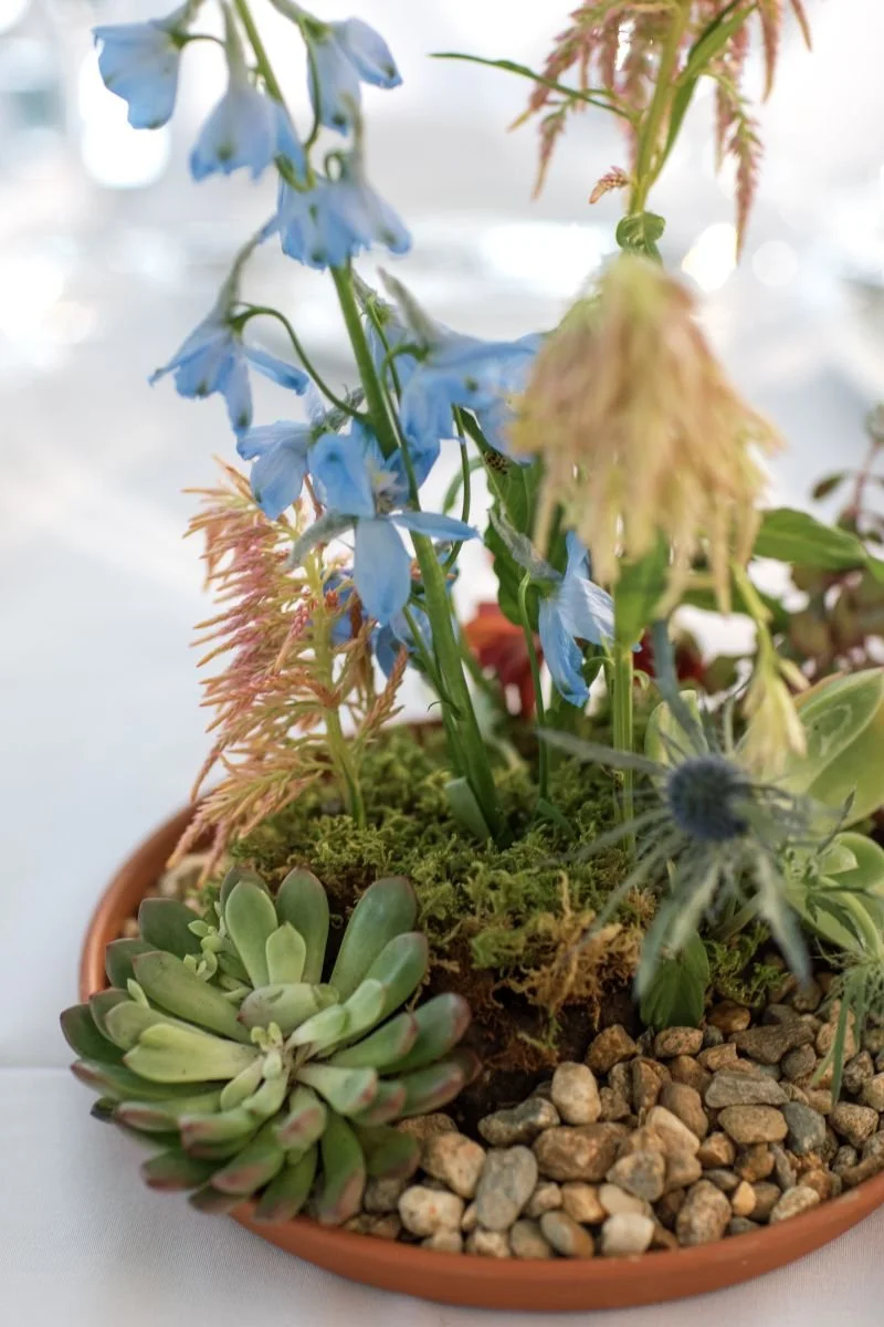 decordova sculpture park and museum wedding 12