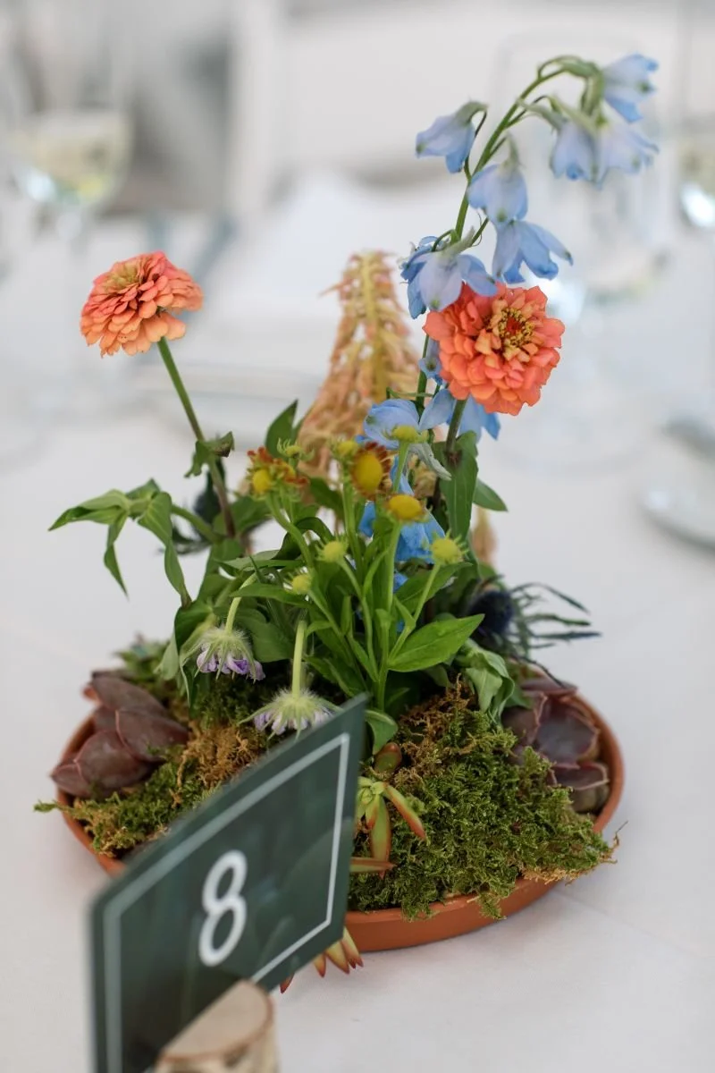 decordova sculpture park and museum wedding 15