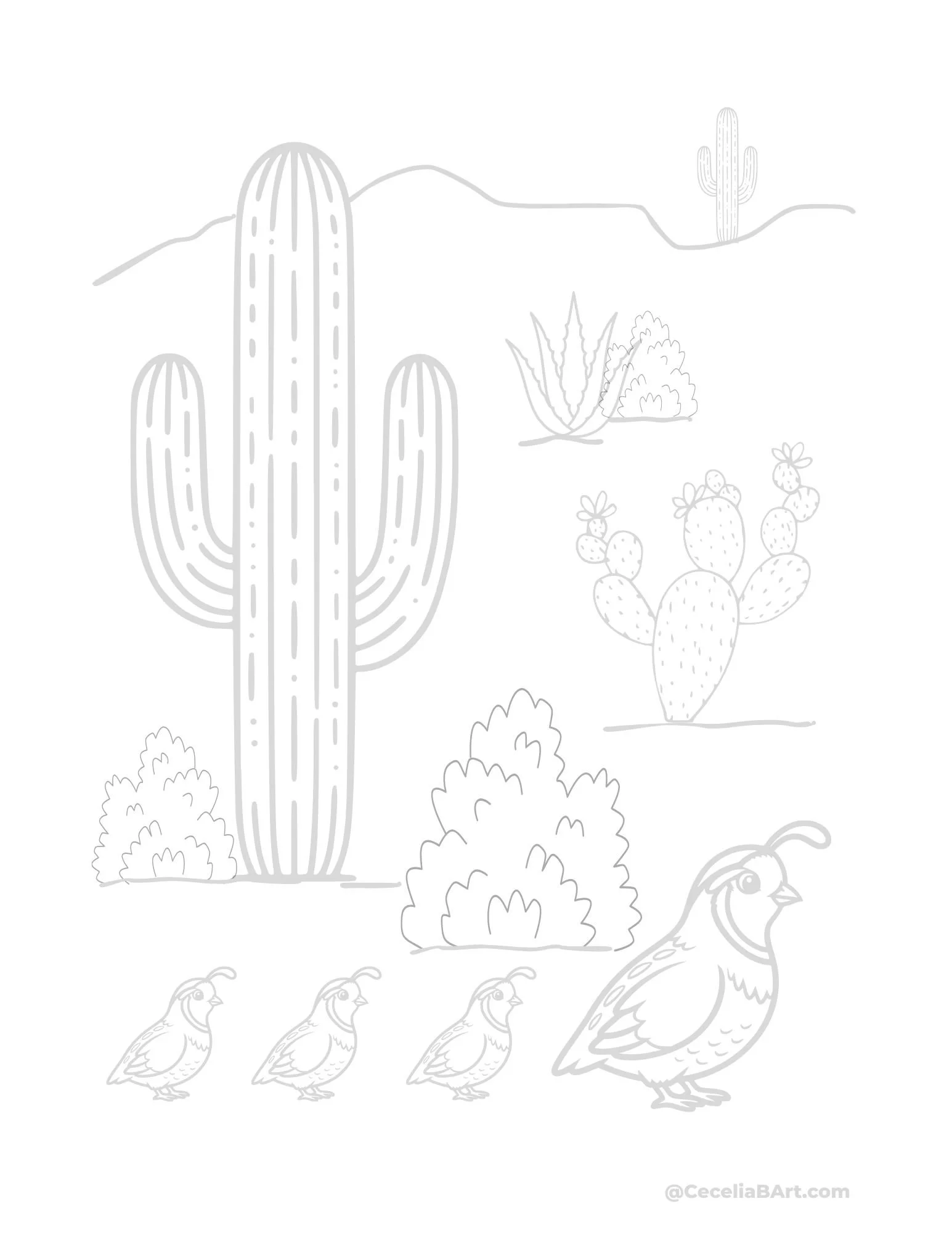 Art Kit Desert Quail.jpg