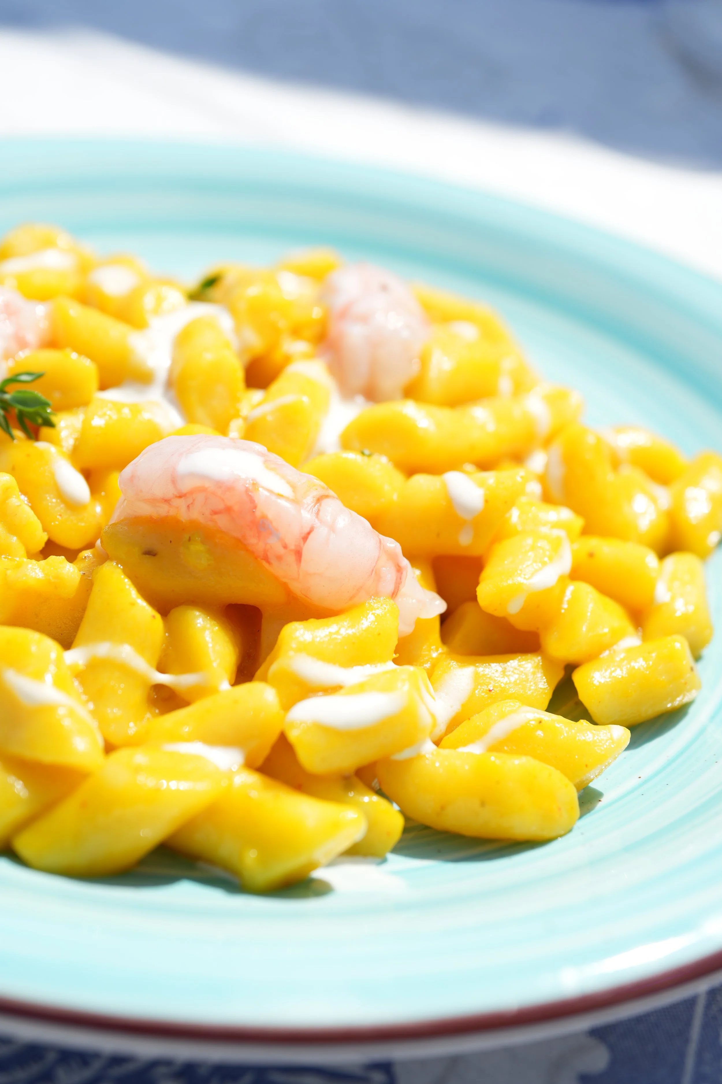 Gnocchi con gamberi e salsa cremosa, servita su piatto azzurro.