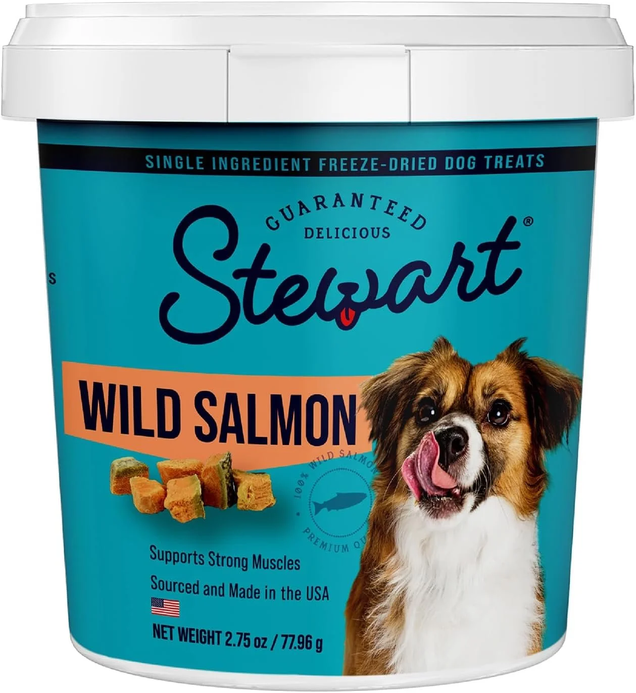 Freeze Dried Wild Salmon Dog Treats