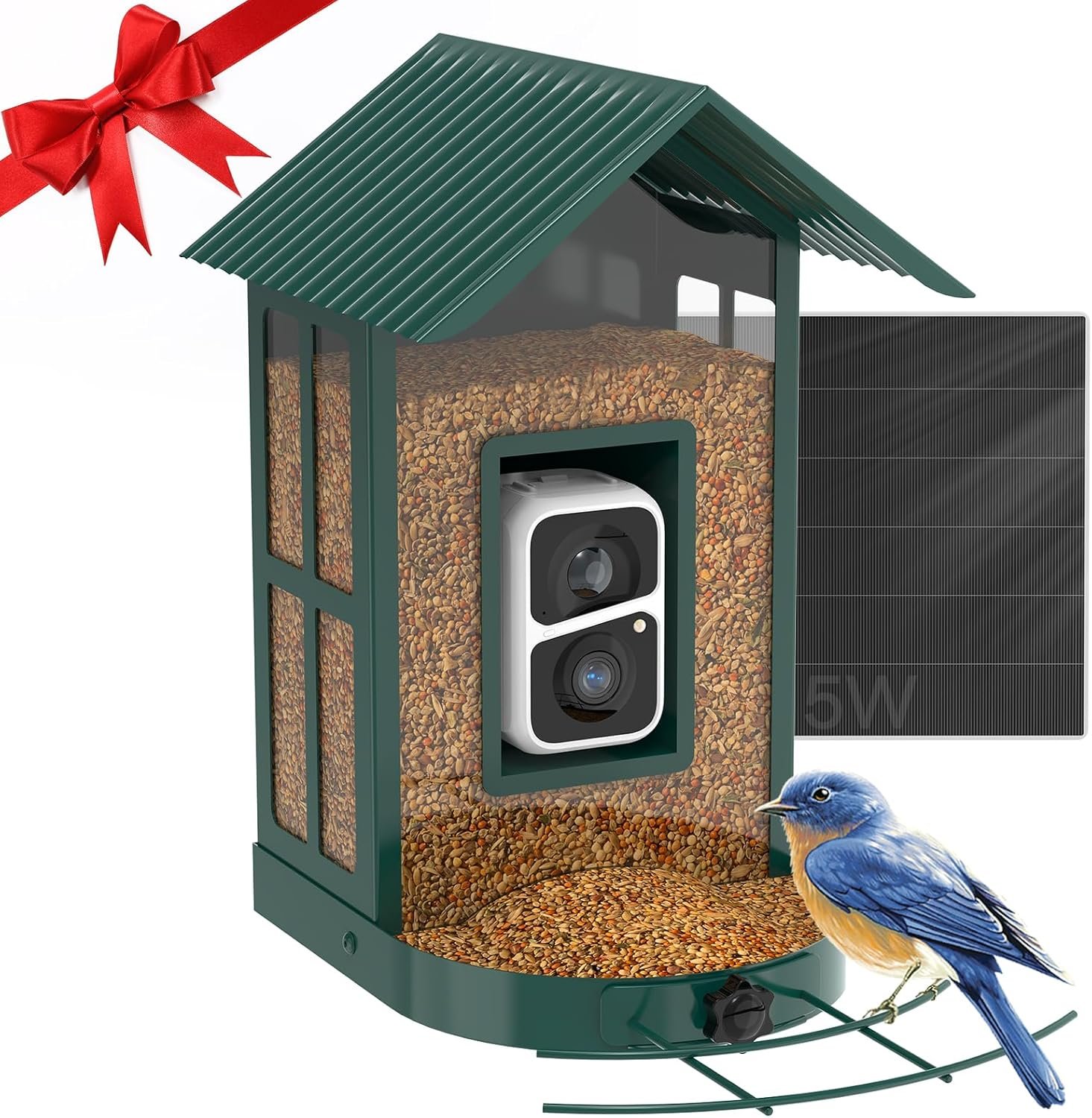 Bird Feeder with a Camera